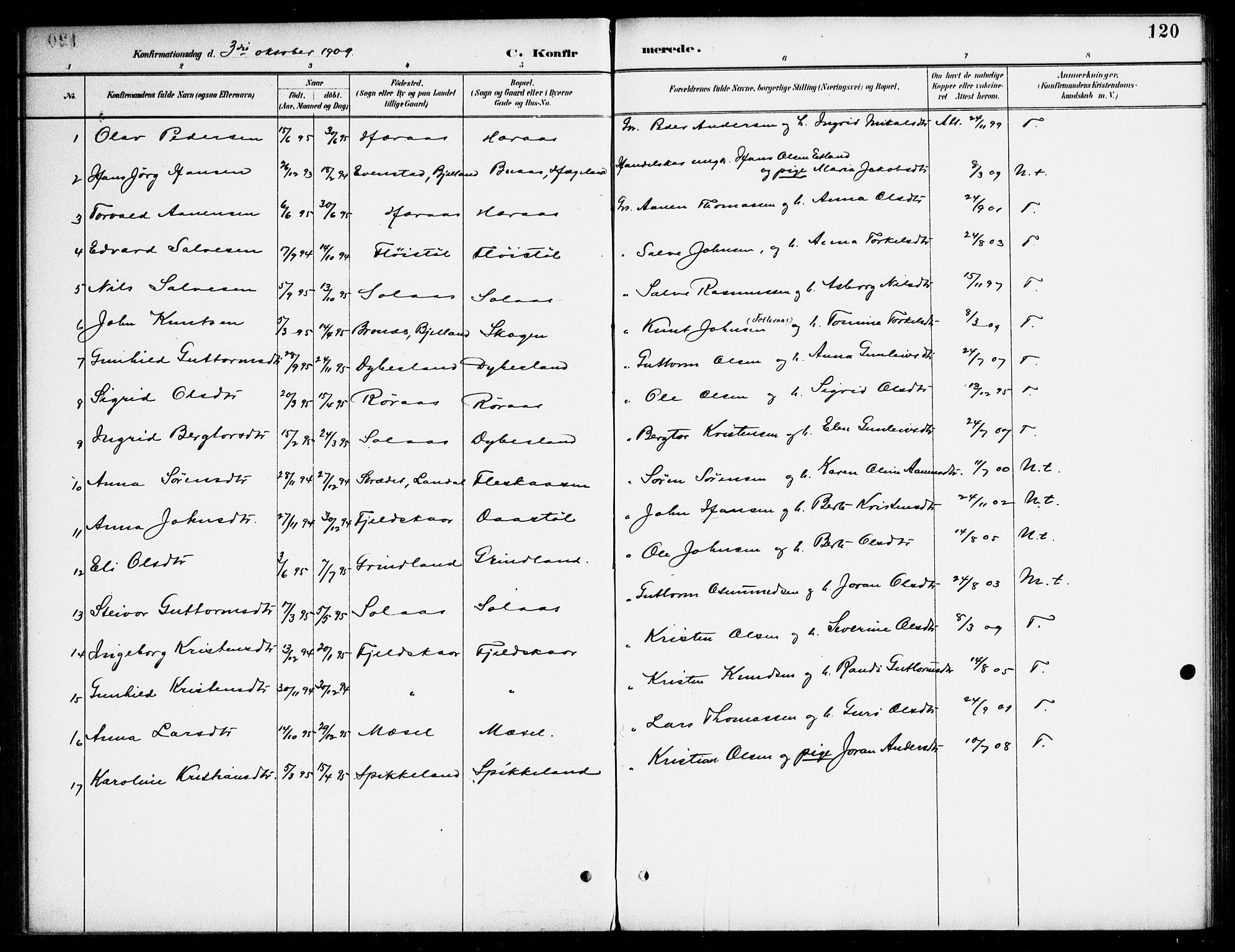 Bjelland sokneprestkontor, SAK/1111-0005/F/Fa/Fab/L0004: Parish register (official) no. A 4, 1887-1920, p. 120