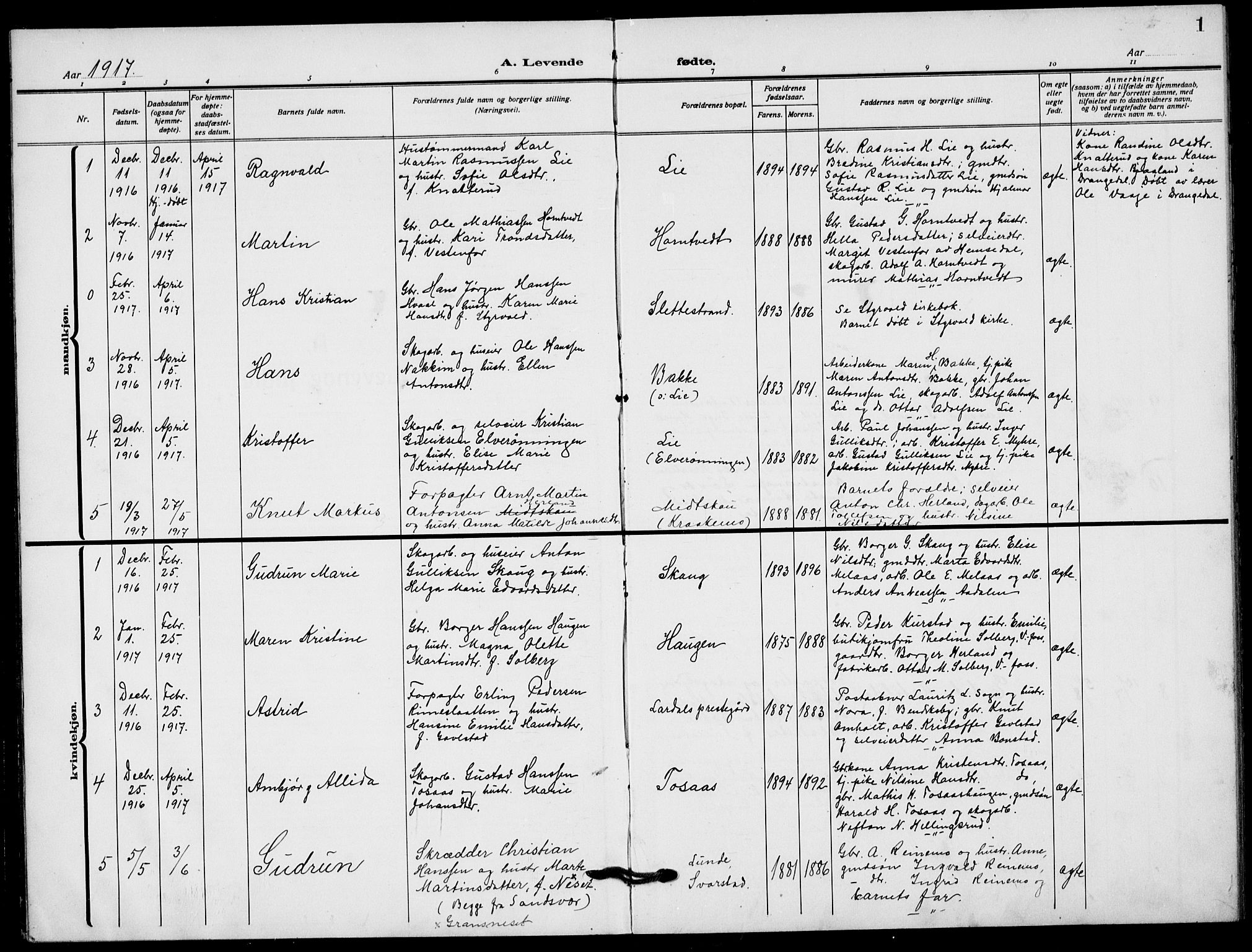 Lardal kirkebøker, AV/SAKO-A-350/G/Ga/L0003a: Parish register (copy) no. I 3, 1917-1937, p. 1