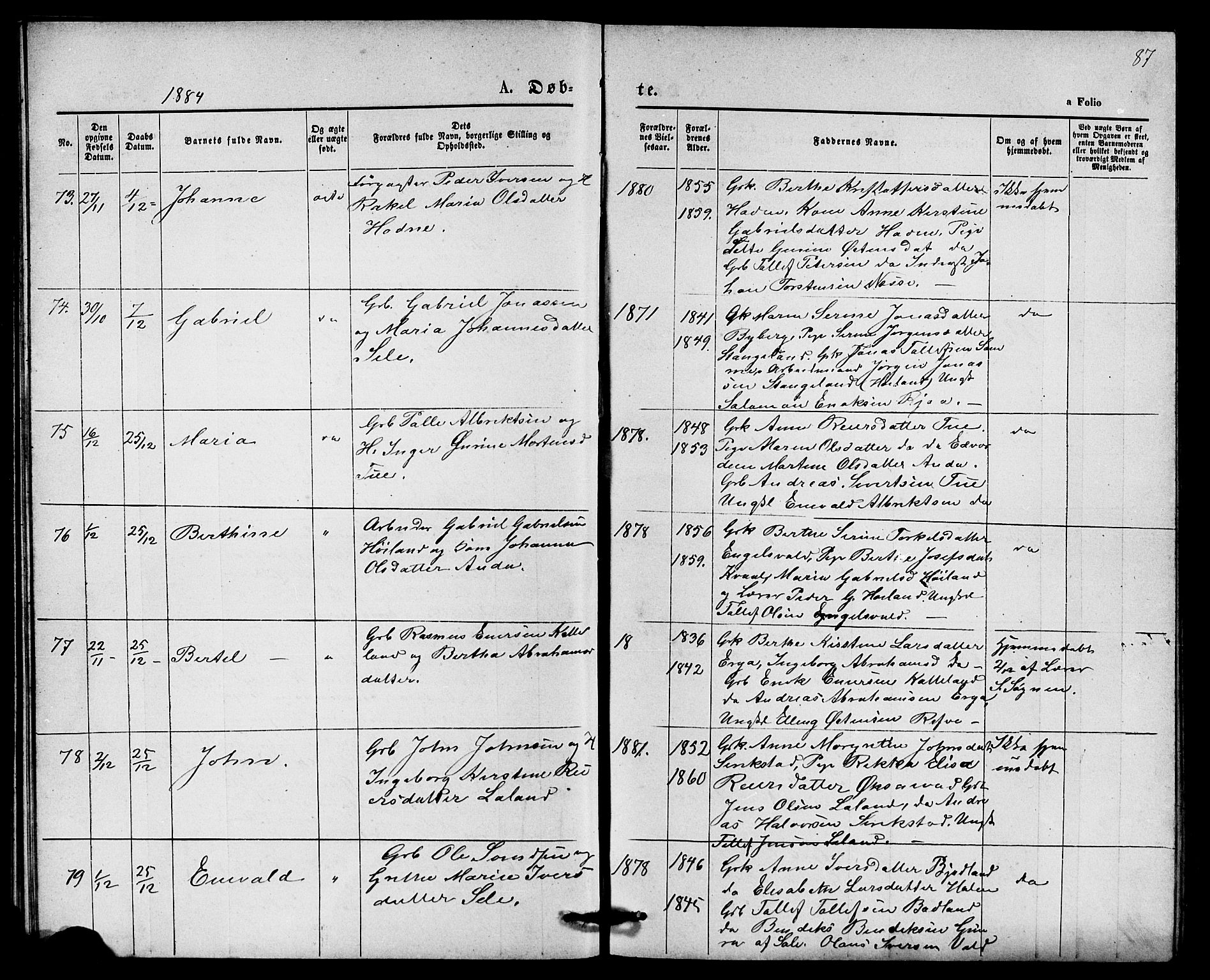 Klepp sokneprestkontor, AV/SAST-A-101803/001/3/30BB/L0003: Parish register (copy) no. B 3, 1876-1888, p. 87