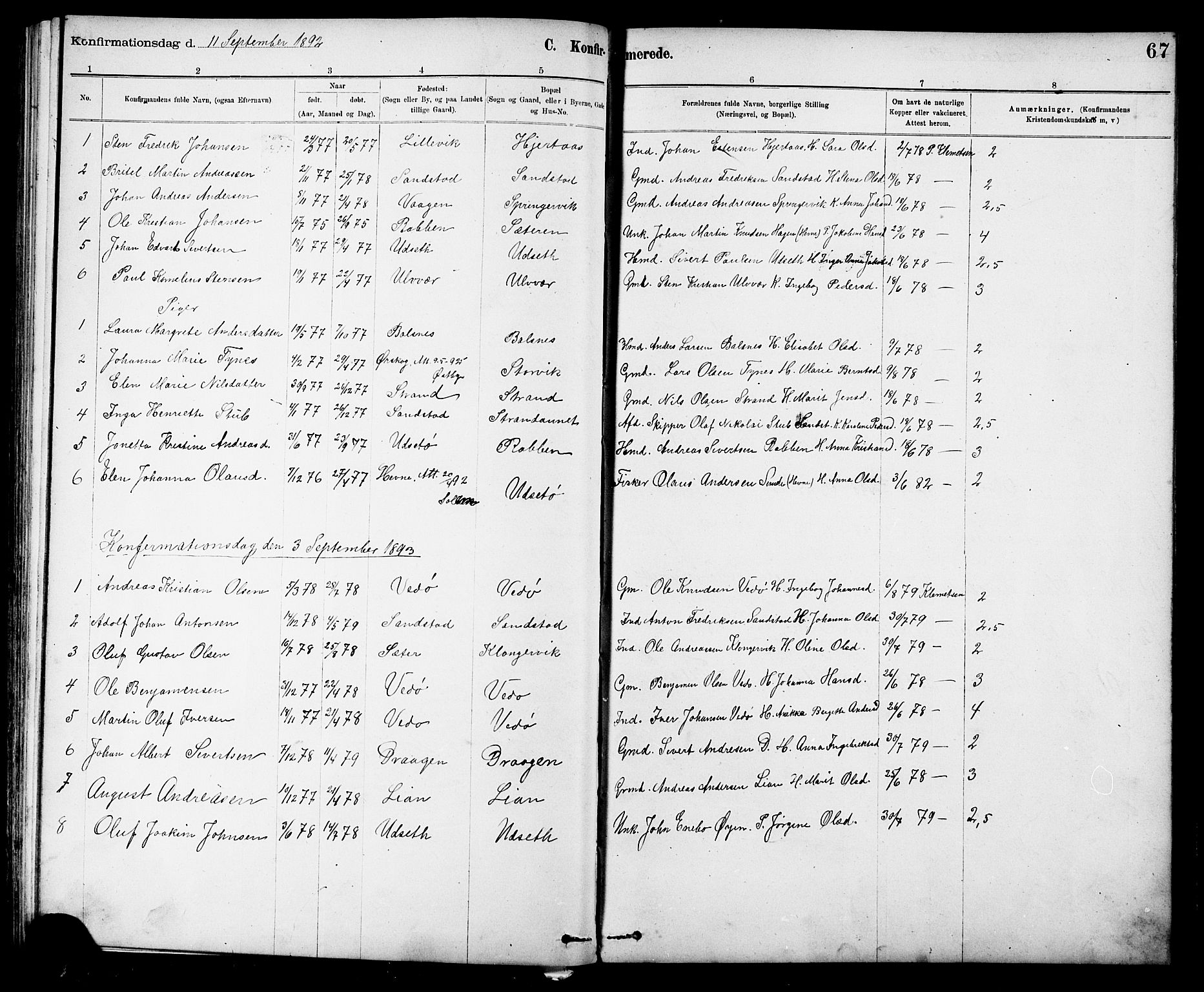 Ministerialprotokoller, klokkerbøker og fødselsregistre - Sør-Trøndelag, AV/SAT-A-1456/639/L0573: Parish register (copy) no. 639C01, 1890-1905, p. 67