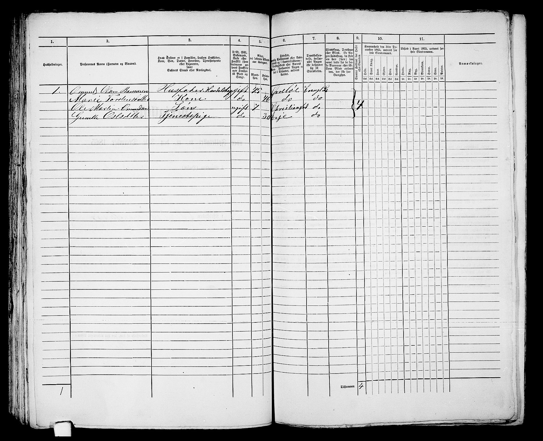 RA, 1865 census for Kristiansand, 1865, p. 1213