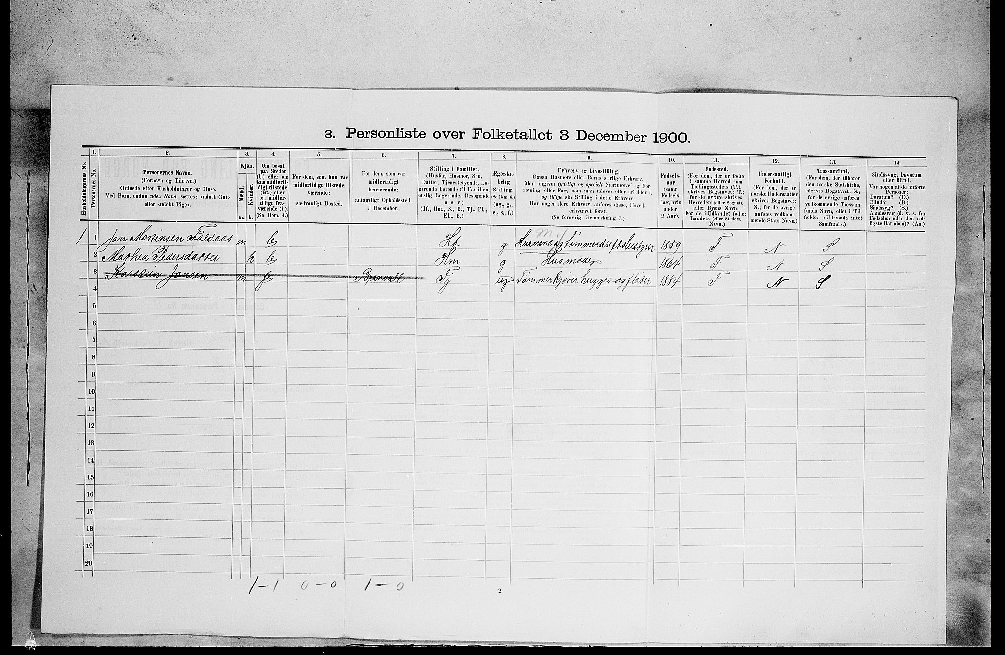 SAH, 1900 census for Åsnes, 1900, p. 1614