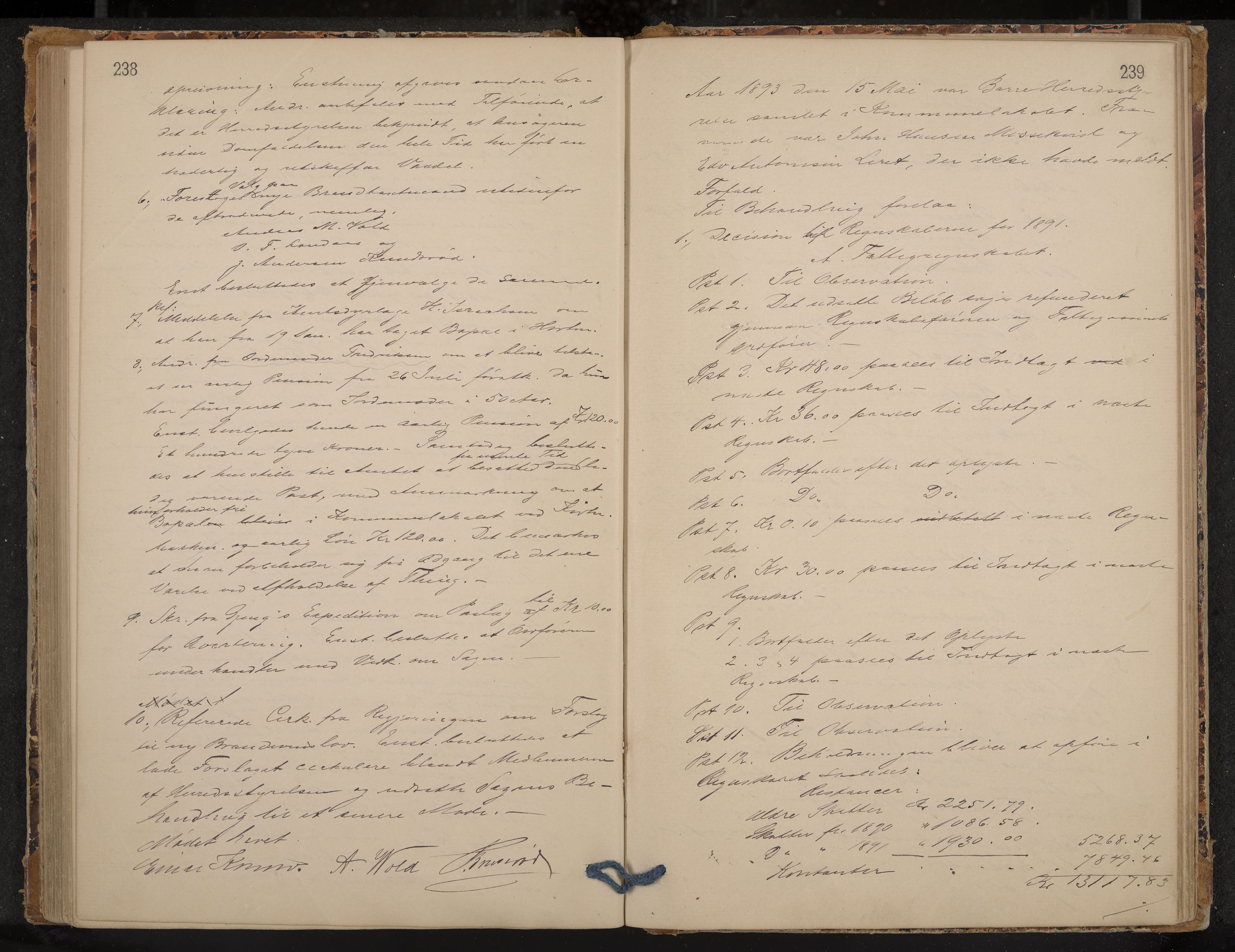 Borre formannskap og sentraladministrasjon, IKAK/0717021/A/L0002: Møtebok, 1881-1895, p. 238-239