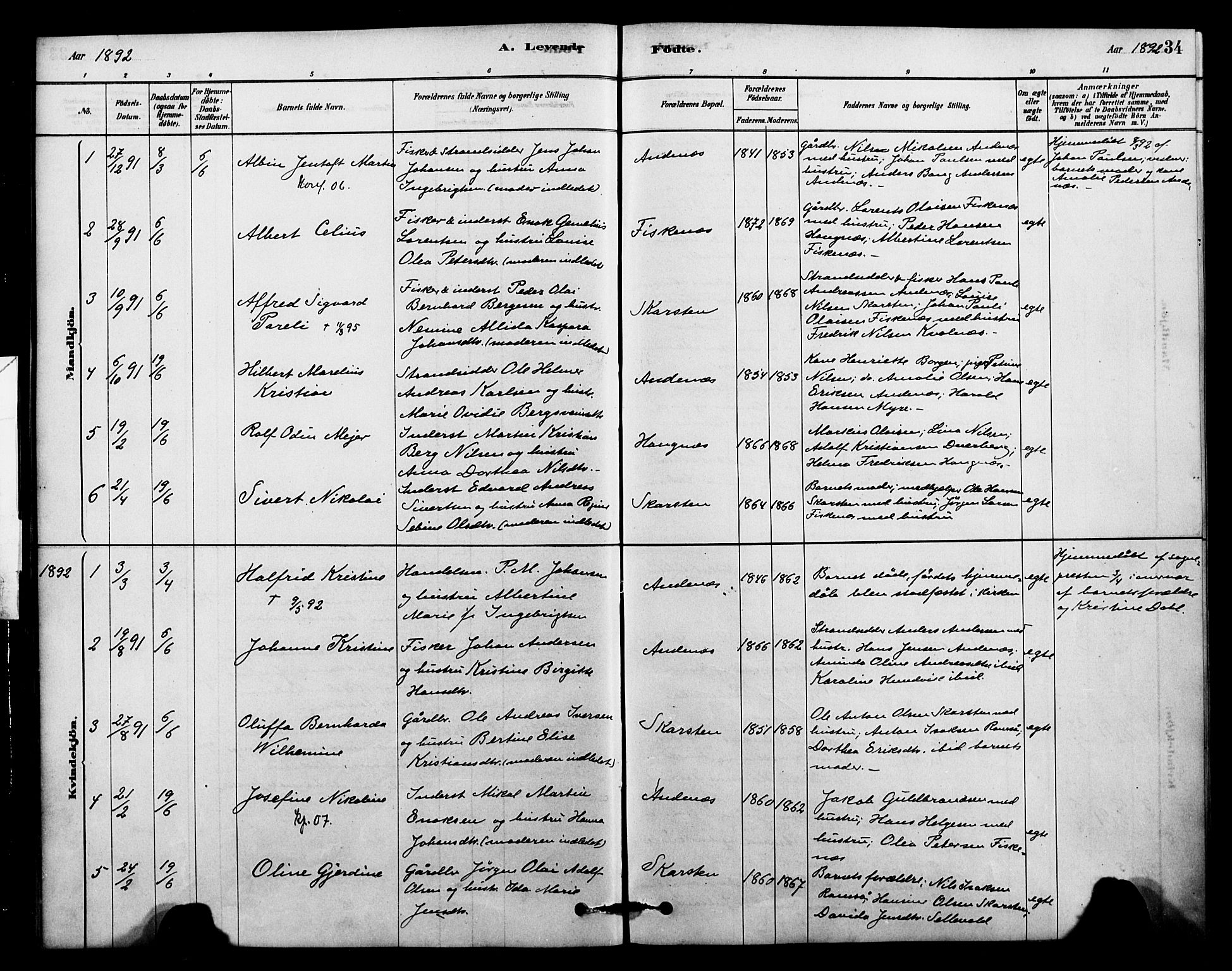 Ministerialprotokoller, klokkerbøker og fødselsregistre - Nordland, AV/SAT-A-1459/899/L1436: Parish register (official) no. 899A04, 1881-1896, p. 34