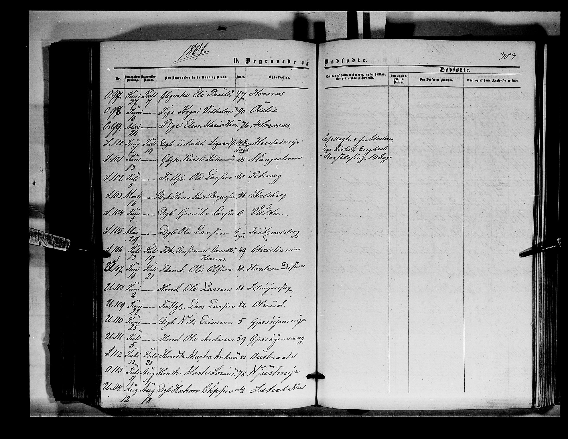 Sør-Odal prestekontor, AV/SAH-PREST-030/H/Ha/Haa/L0003: Parish register (official) no. 3, 1864-1870, p. 303