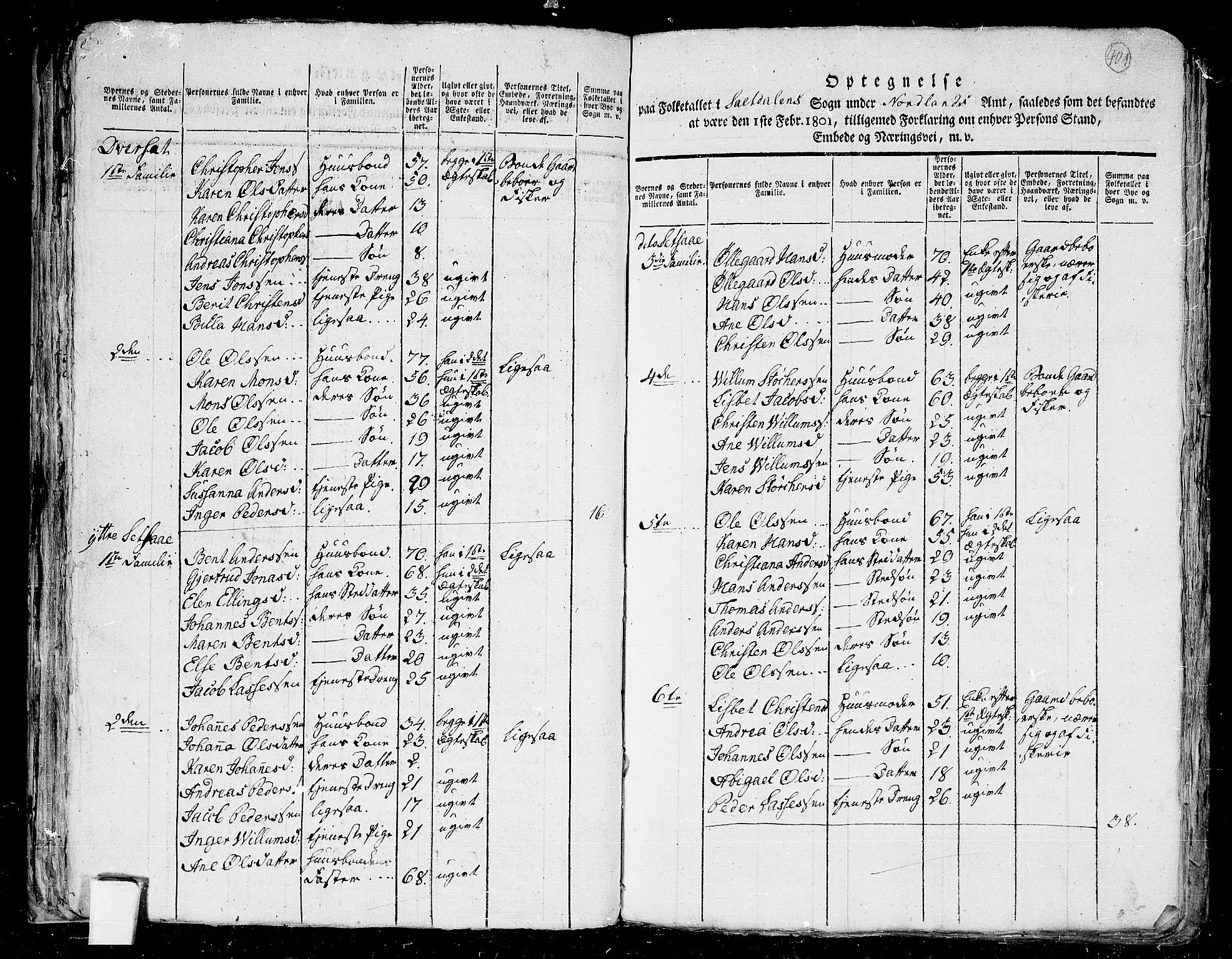 RA, 1801 census for 1840P Saltdal, 1801, p. 400b-401a