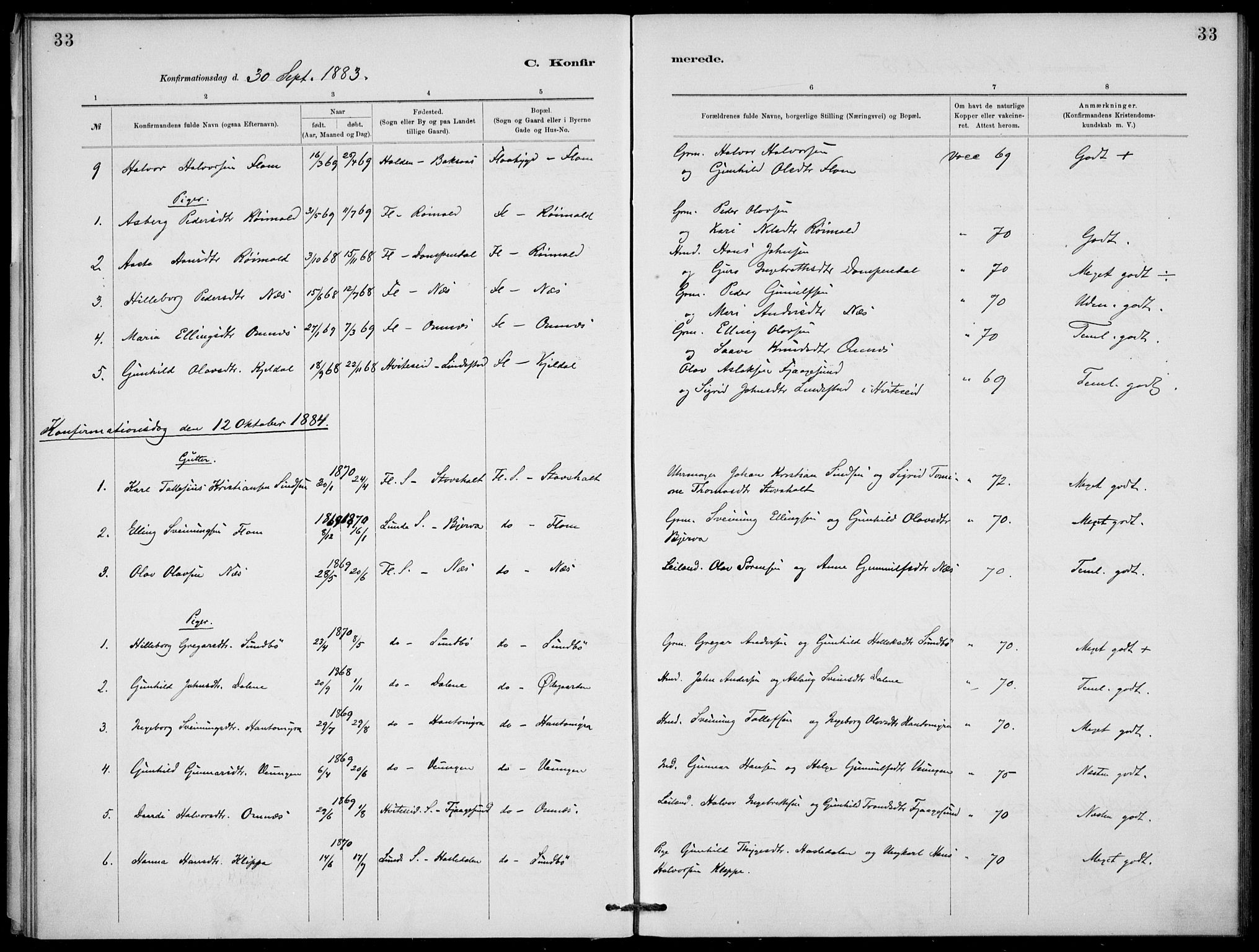 Lunde kirkebøker, AV/SAKO-A-282/F/Fb/L0003: Parish register (official) no. II 3, 1882-1891, p. 33