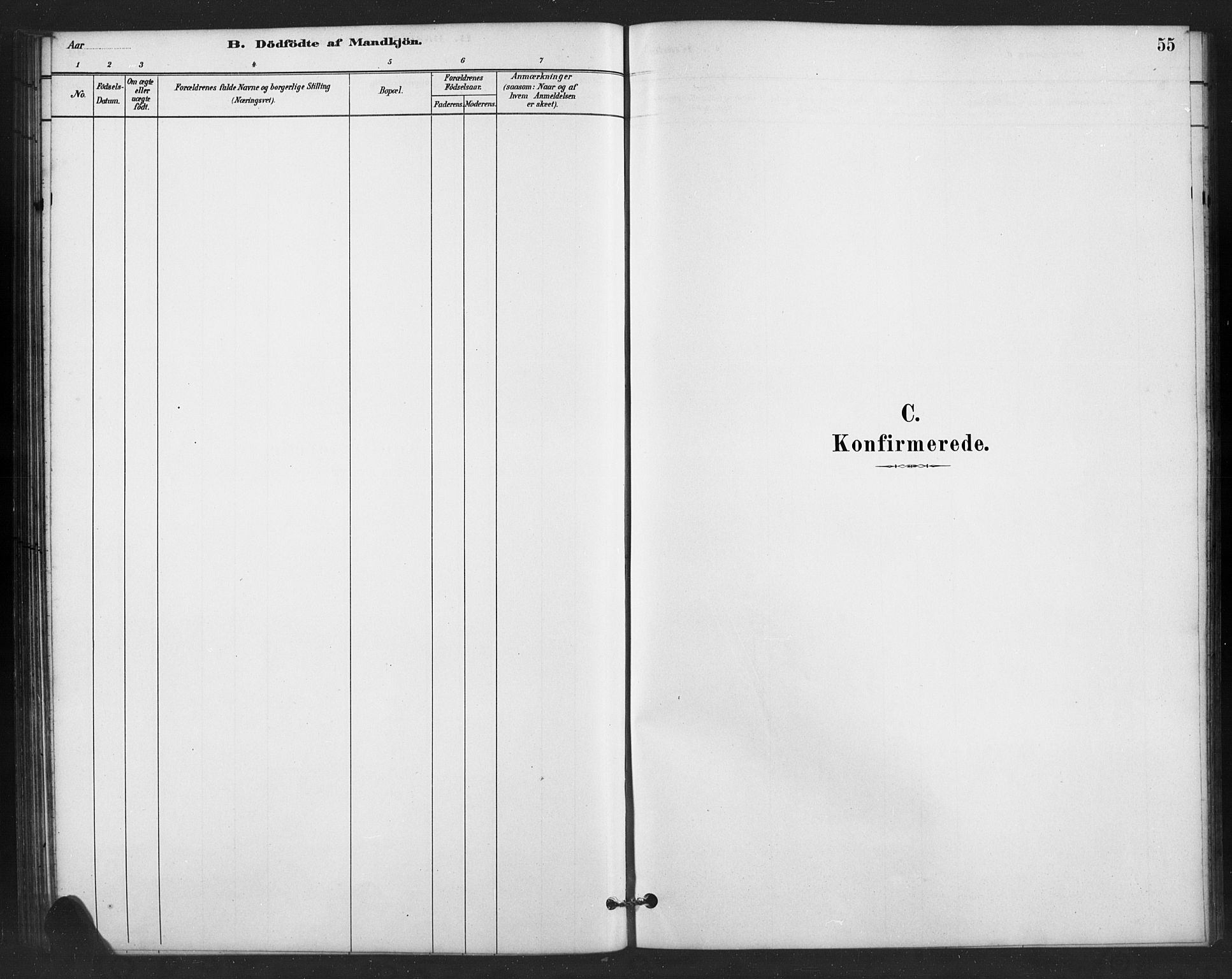 Vestre Slidre prestekontor, SAH/PREST-136/H/Ha/Hab/L0006: Parish register (copy) no. 6, 1881-1915, p. 55
