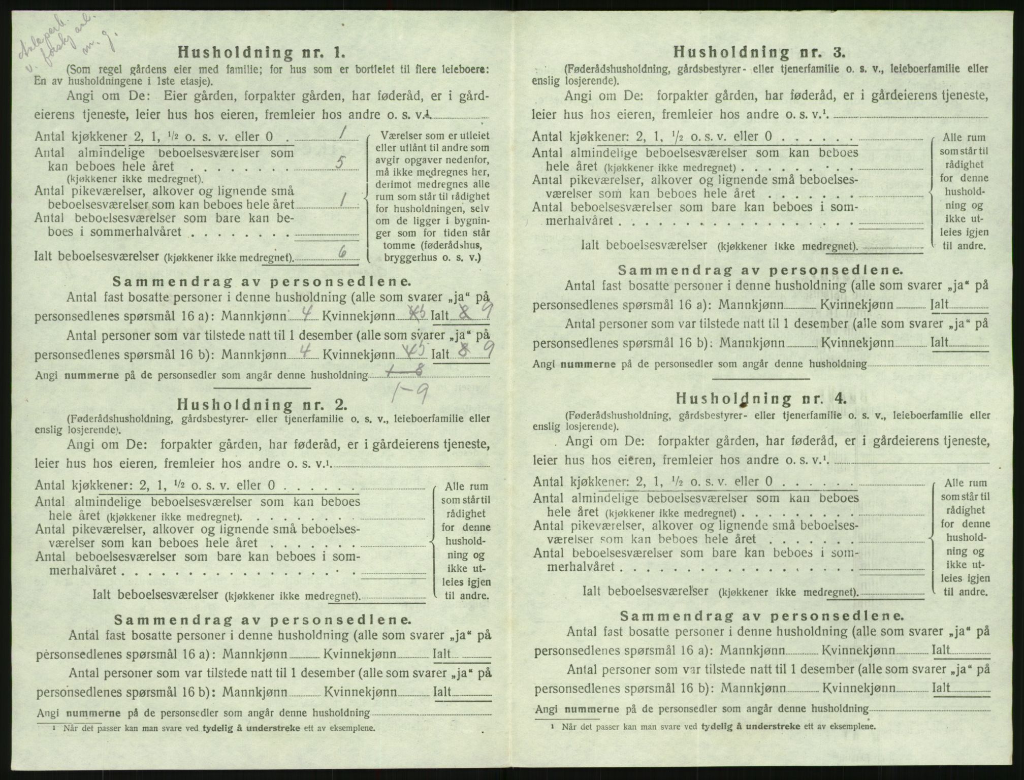 SAK, 1920 census for Hornnes, 1920, p. 468