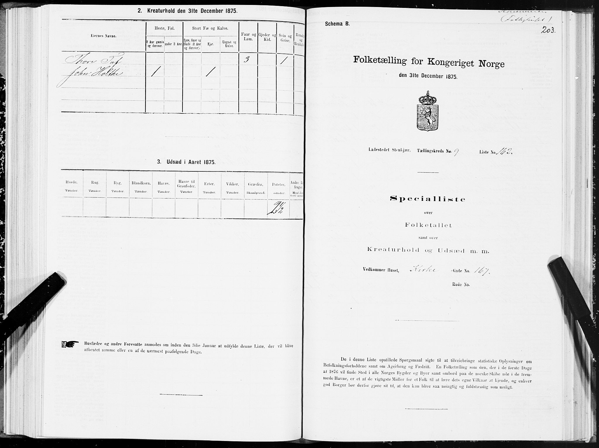 SAT, 1875 census for 1702B Steinkjer/Steinkjer, 1875, p. 203