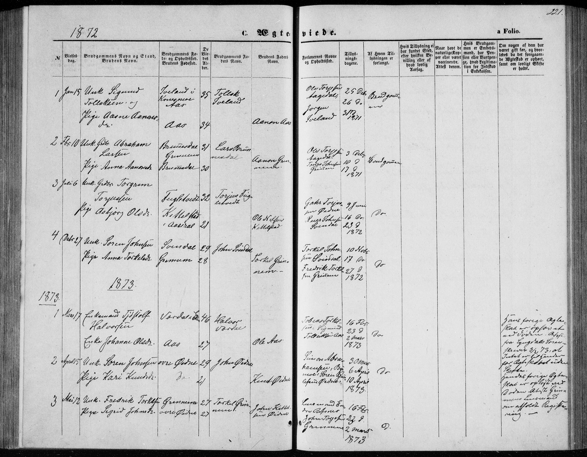 Bjelland sokneprestkontor, AV/SAK-1111-0005/F/Fb/Fbc/L0002: Parish register (copy) no. B 2, 1867-1887, p. 221