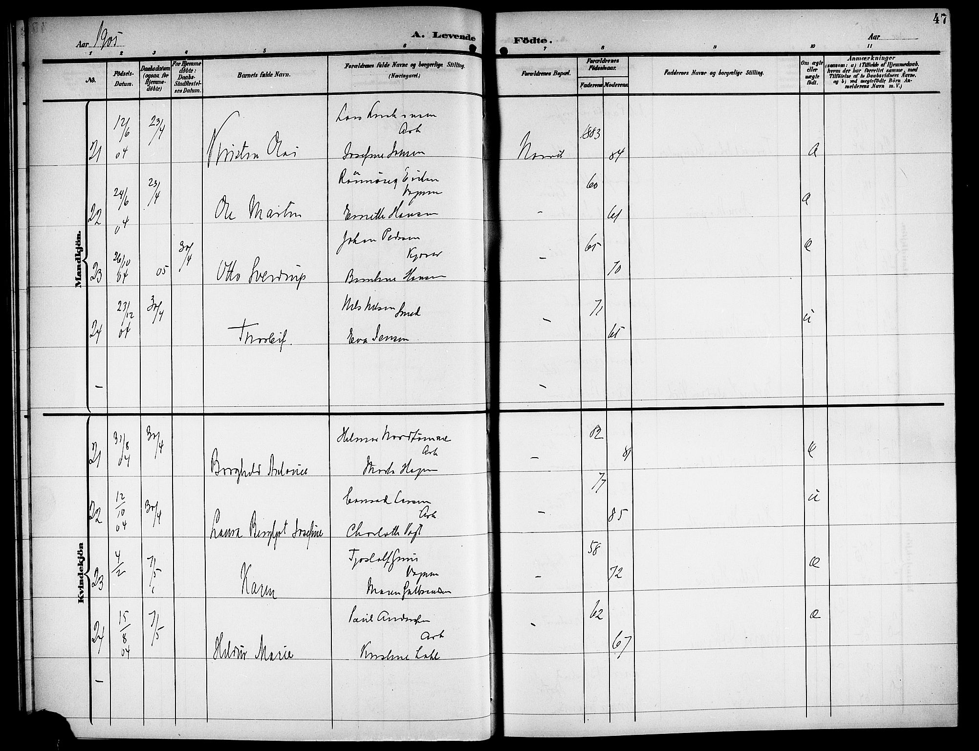 Ministerialprotokoller, klokkerbøker og fødselsregistre - Nordland, AV/SAT-A-1459/871/L1012: Parish register (copy) no. 871C01, 1902-1909, p. 47