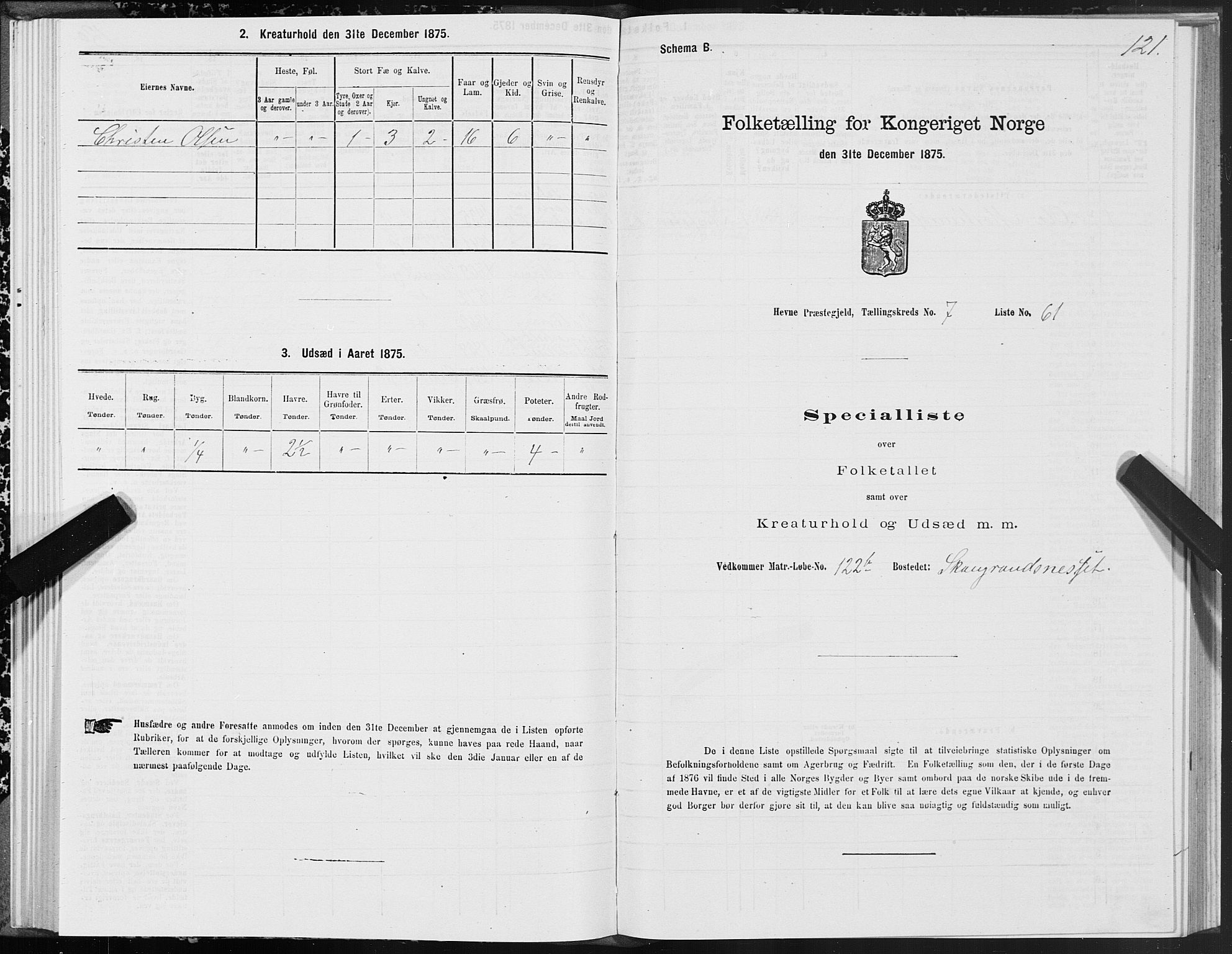 SAT, 1875 census for 1612P Hemne, 1875, p. 4121