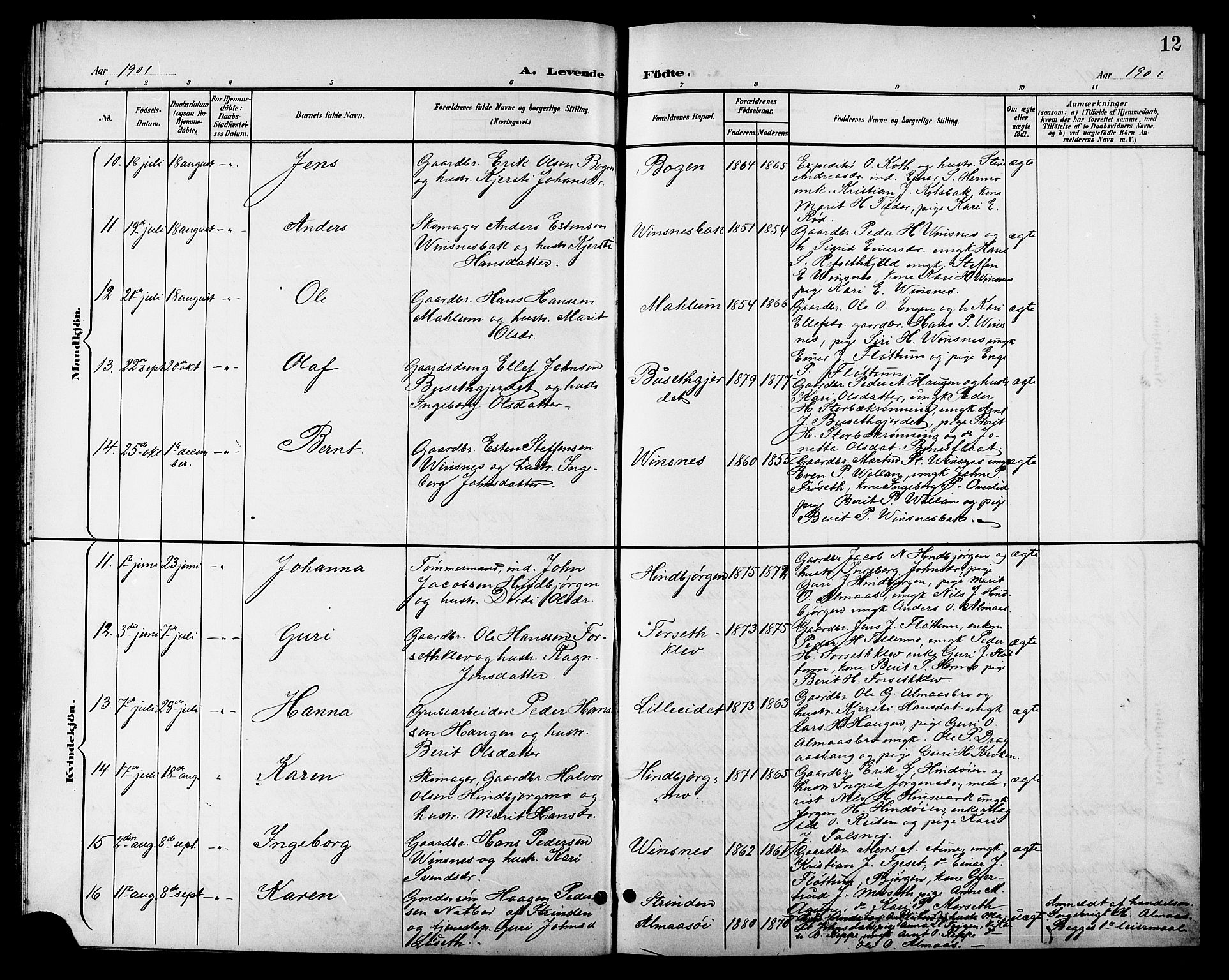 Ministerialprotokoller, klokkerbøker og fødselsregistre - Sør-Trøndelag, AV/SAT-A-1456/688/L1029: Parish register (copy) no. 688C04, 1899-1915, p. 12