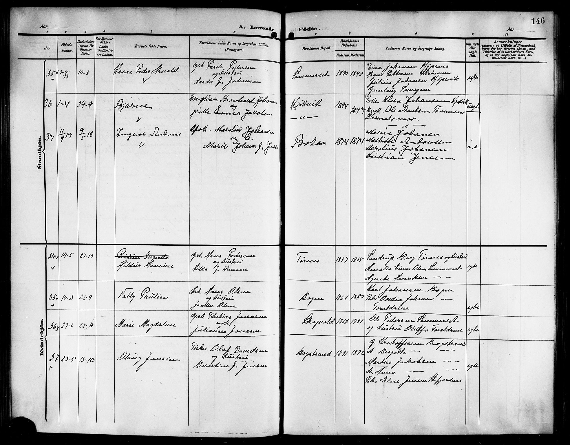 Ministerialprotokoller, klokkerbøker og fødselsregistre - Nordland, AV/SAT-A-1459/861/L0877: Parish register (copy) no. 861C03, 1903-1919, p. 146