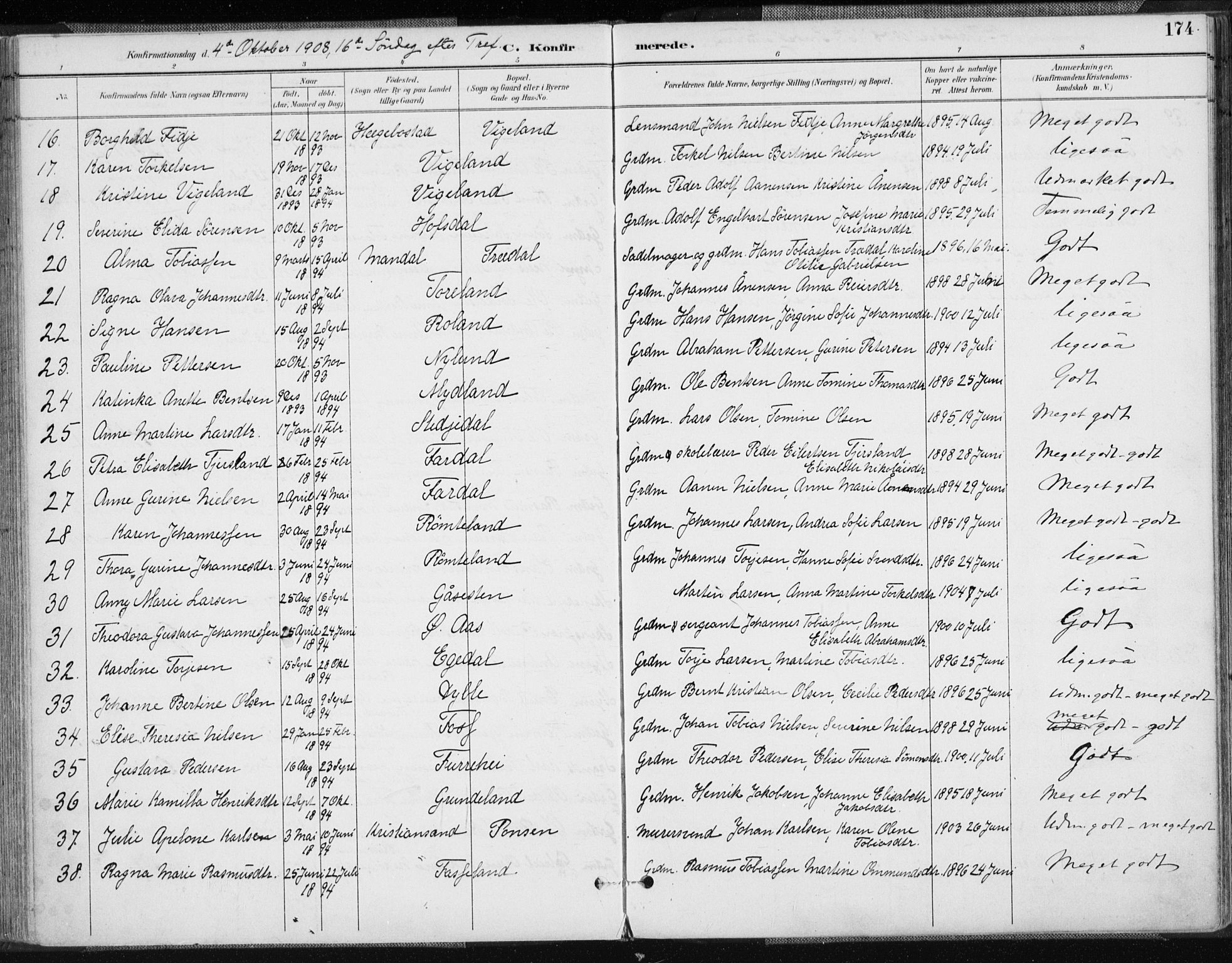 Sør-Audnedal sokneprestkontor, AV/SAK-1111-0039/F/Fa/Fab/L0010: Parish register (official) no. A 10, 1892-1913, p. 175