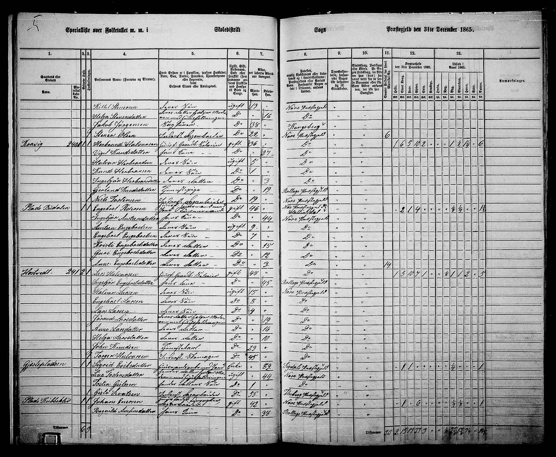 RA, 1865 census for Nore, 1865, p. 17