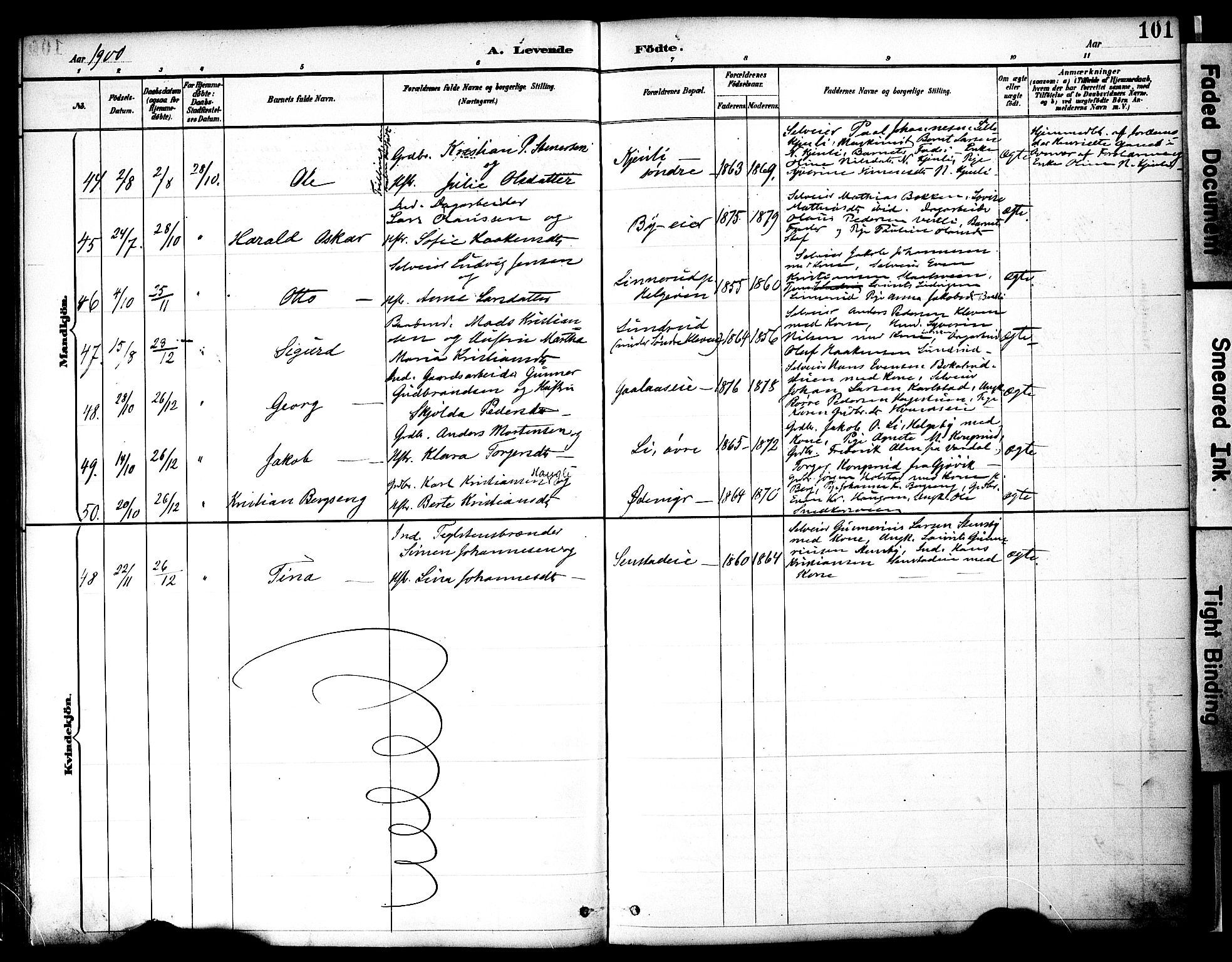 Nes prestekontor, Hedmark, SAH/PREST-020/K/Ka/L0009: Parish register (official) no. 9, 1887-1905, p. 101