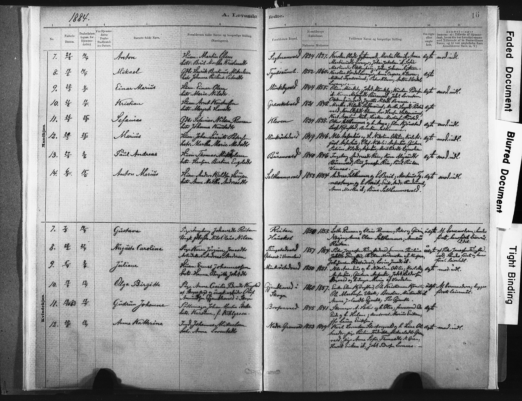 Ministerialprotokoller, klokkerbøker og fødselsregistre - Nord-Trøndelag, SAT/A-1458/721/L0207: Parish register (official) no. 721A02, 1880-1911, p. 16