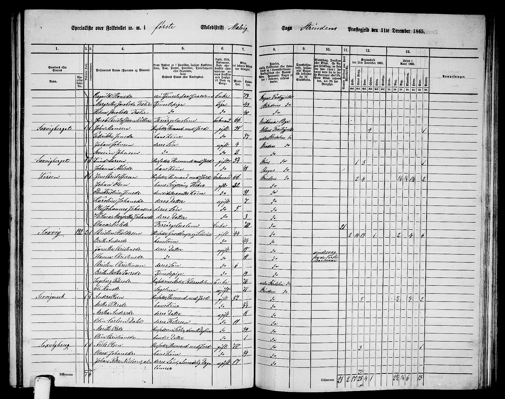RA, 1865 census for Strinda, 1865, p. 194