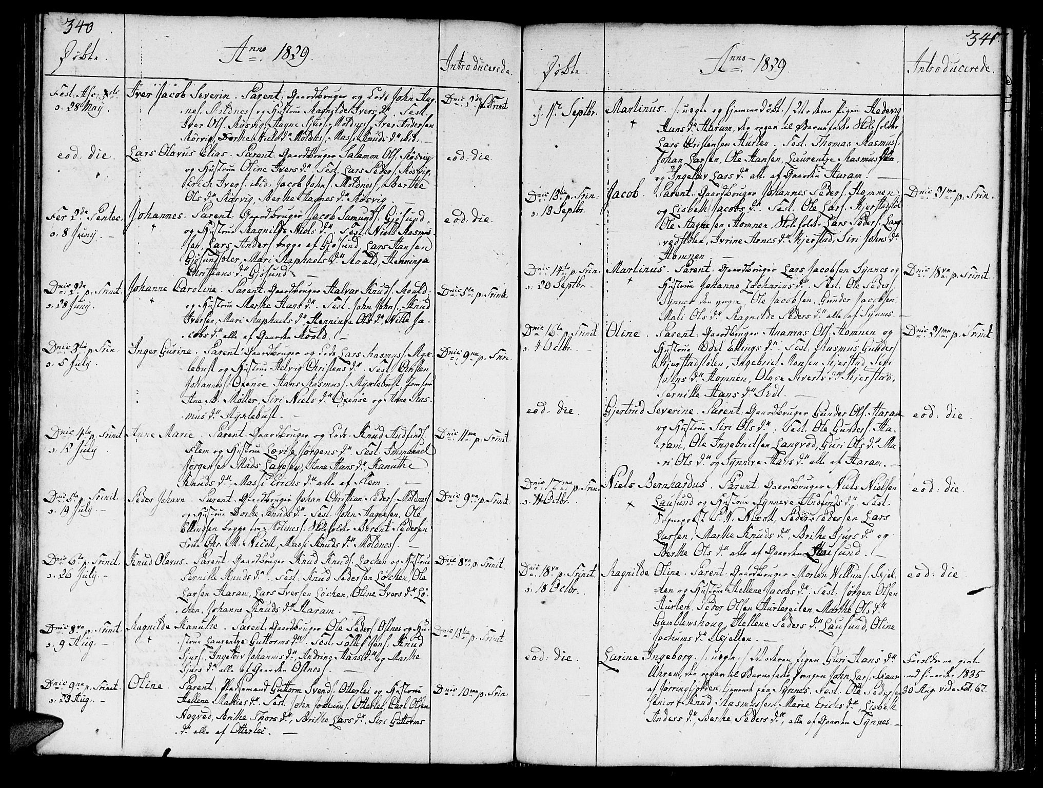 Ministerialprotokoller, klokkerbøker og fødselsregistre - Møre og Romsdal, SAT/A-1454/536/L0494: Parish register (official) no. 536A03, 1803-1836, p. 340-341