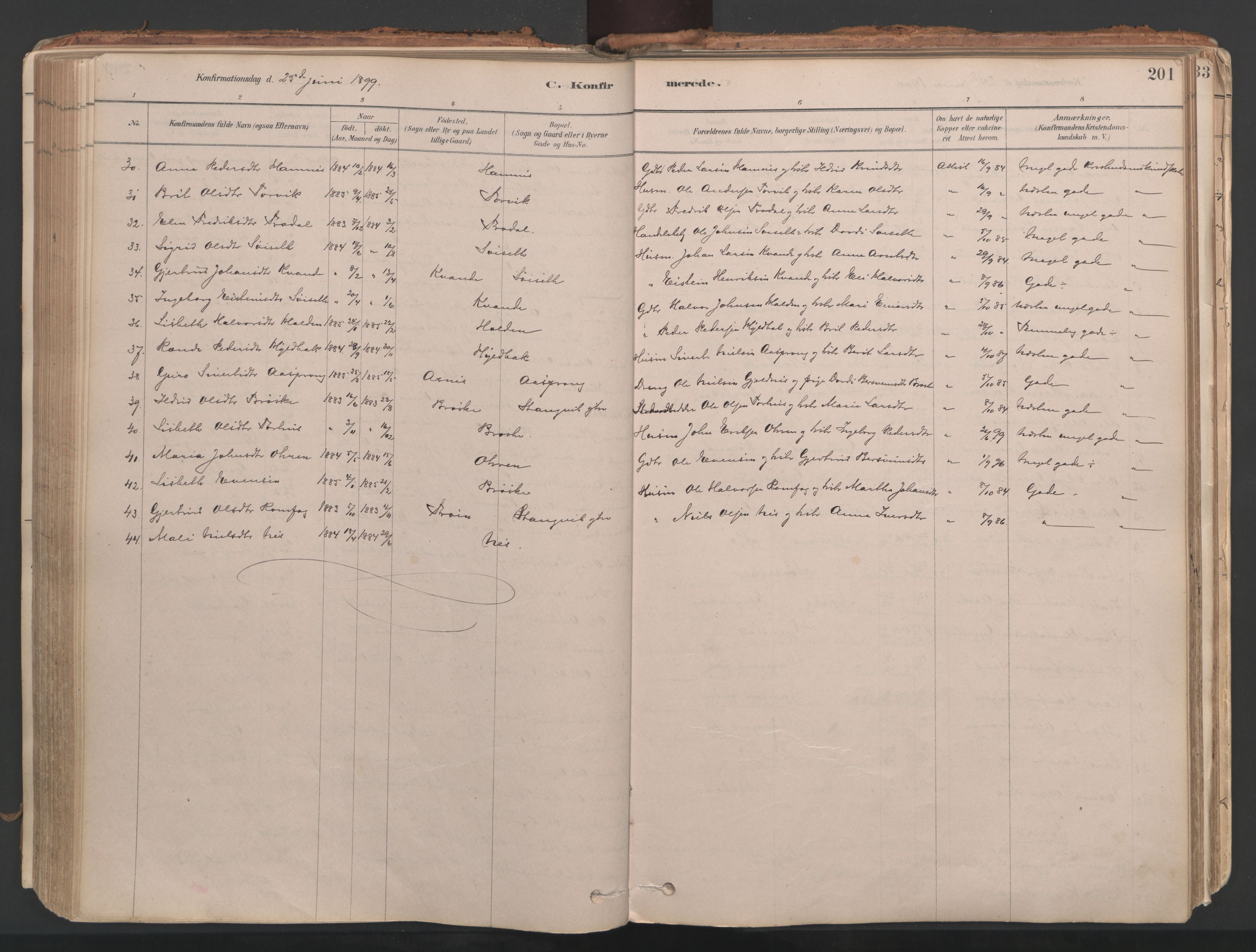 Ministerialprotokoller, klokkerbøker og fødselsregistre - Møre og Romsdal, AV/SAT-A-1454/592/L1029: Parish register (official) no. 592A07, 1879-1902, p. 201