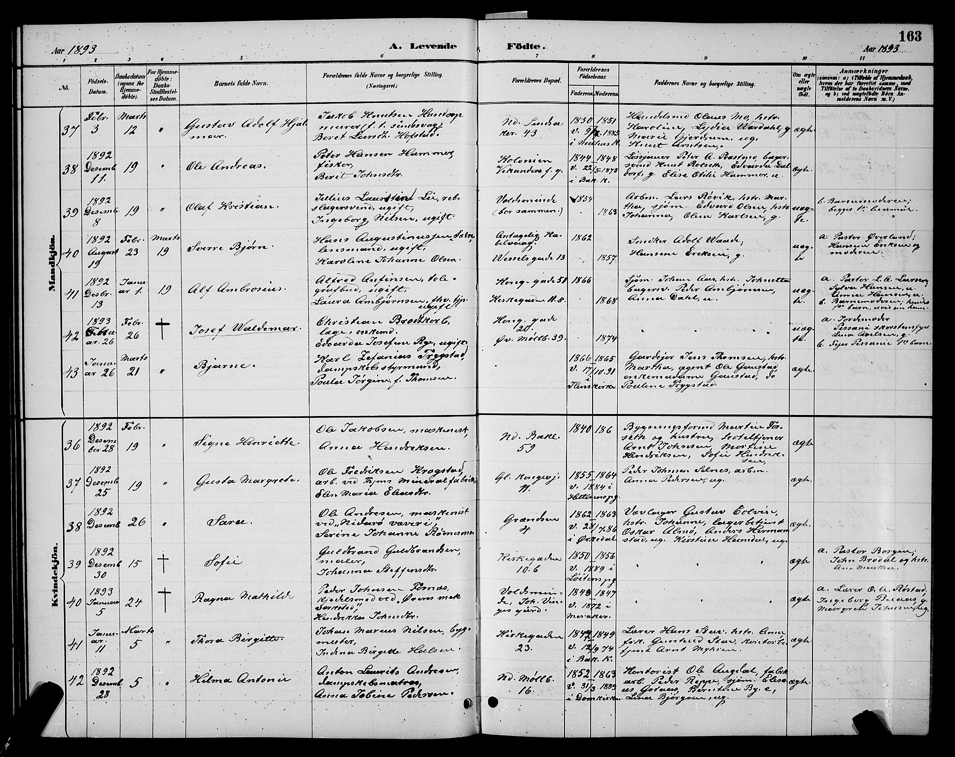 Ministerialprotokoller, klokkerbøker og fødselsregistre - Sør-Trøndelag, SAT/A-1456/604/L0222: Parish register (copy) no. 604C05, 1886-1895, p. 163