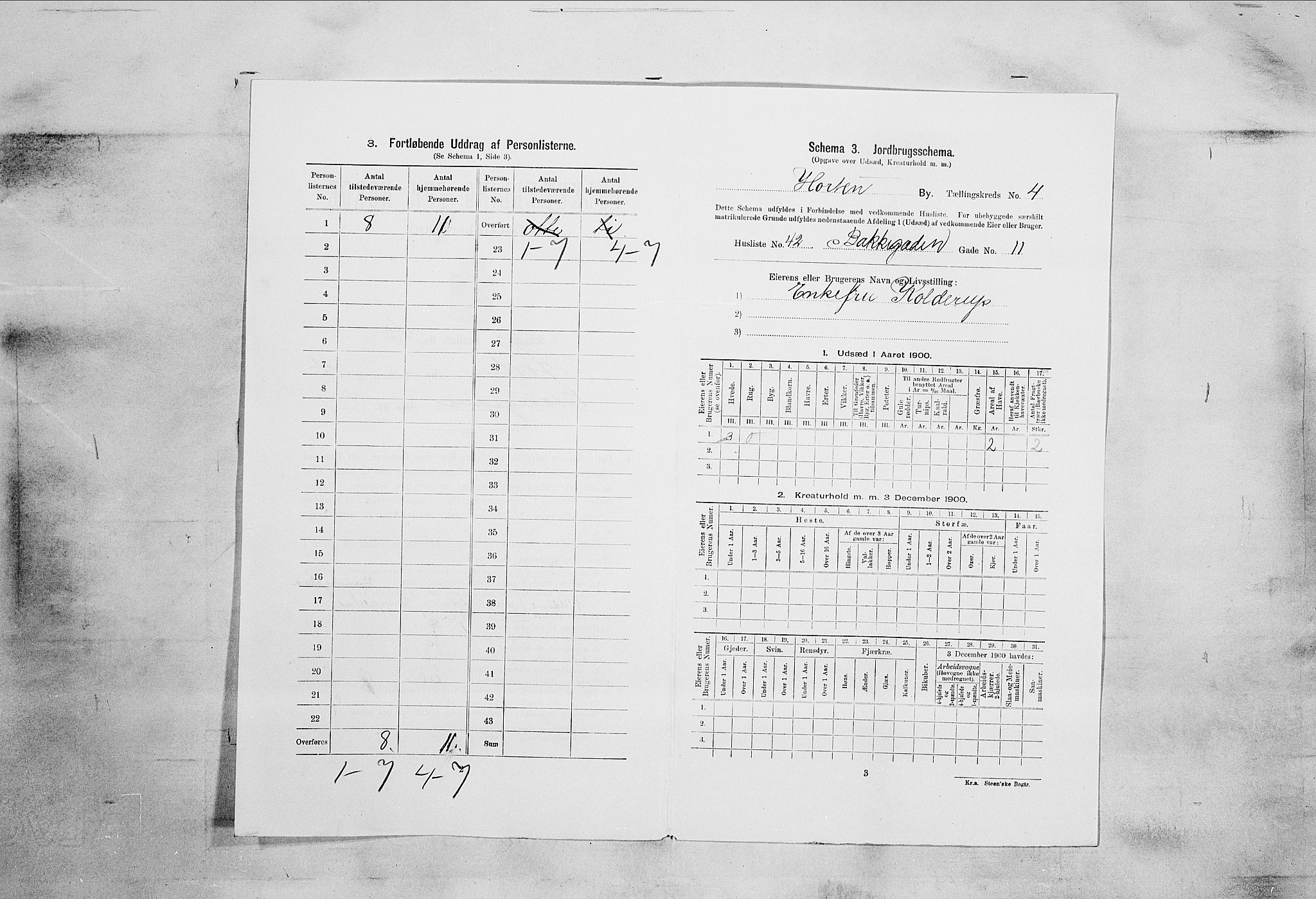 RA, 1900 census for Horten, 1900, p. 2809