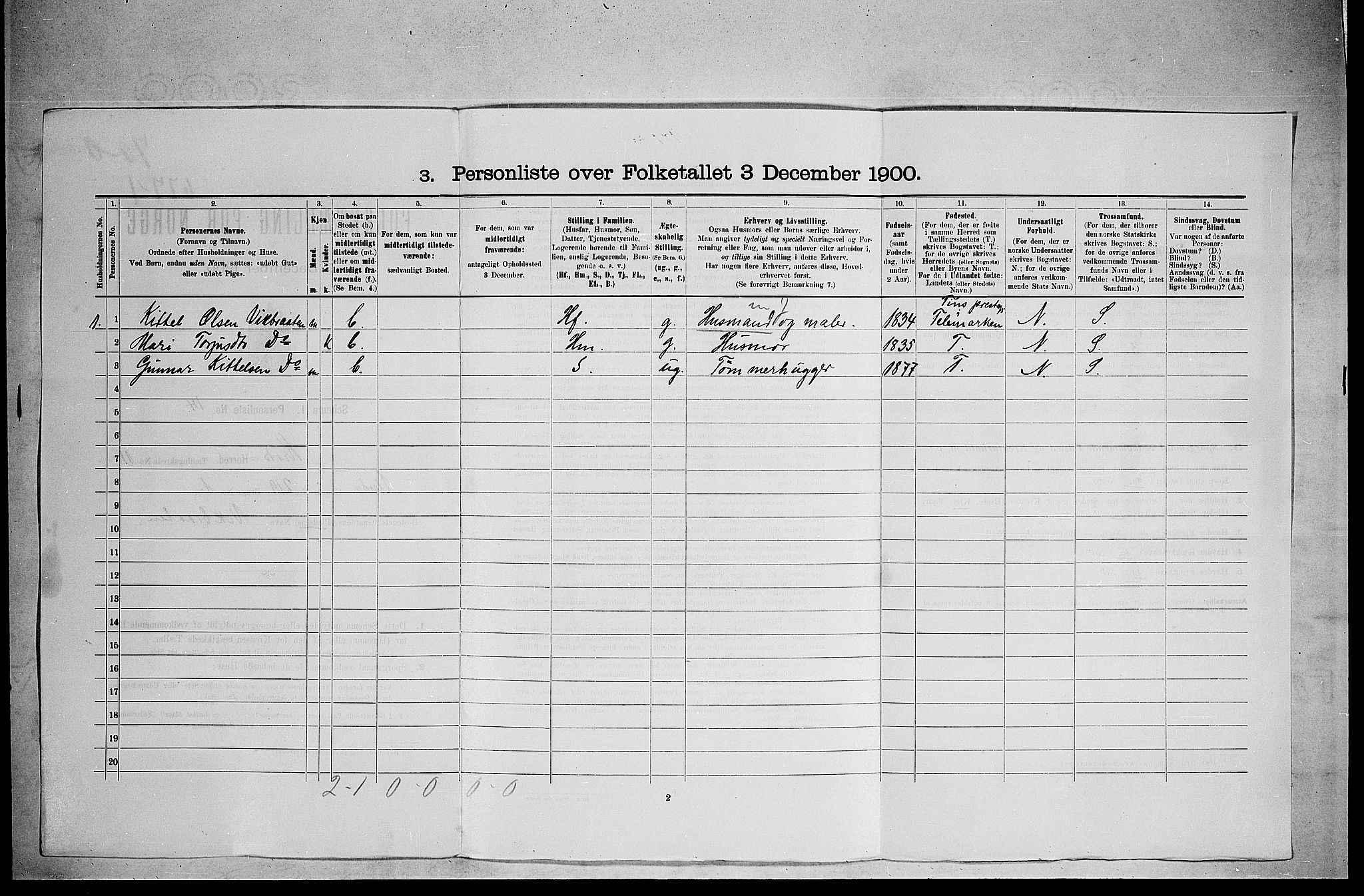 RA, 1900 census for Sigdal, 1900, p. 1729