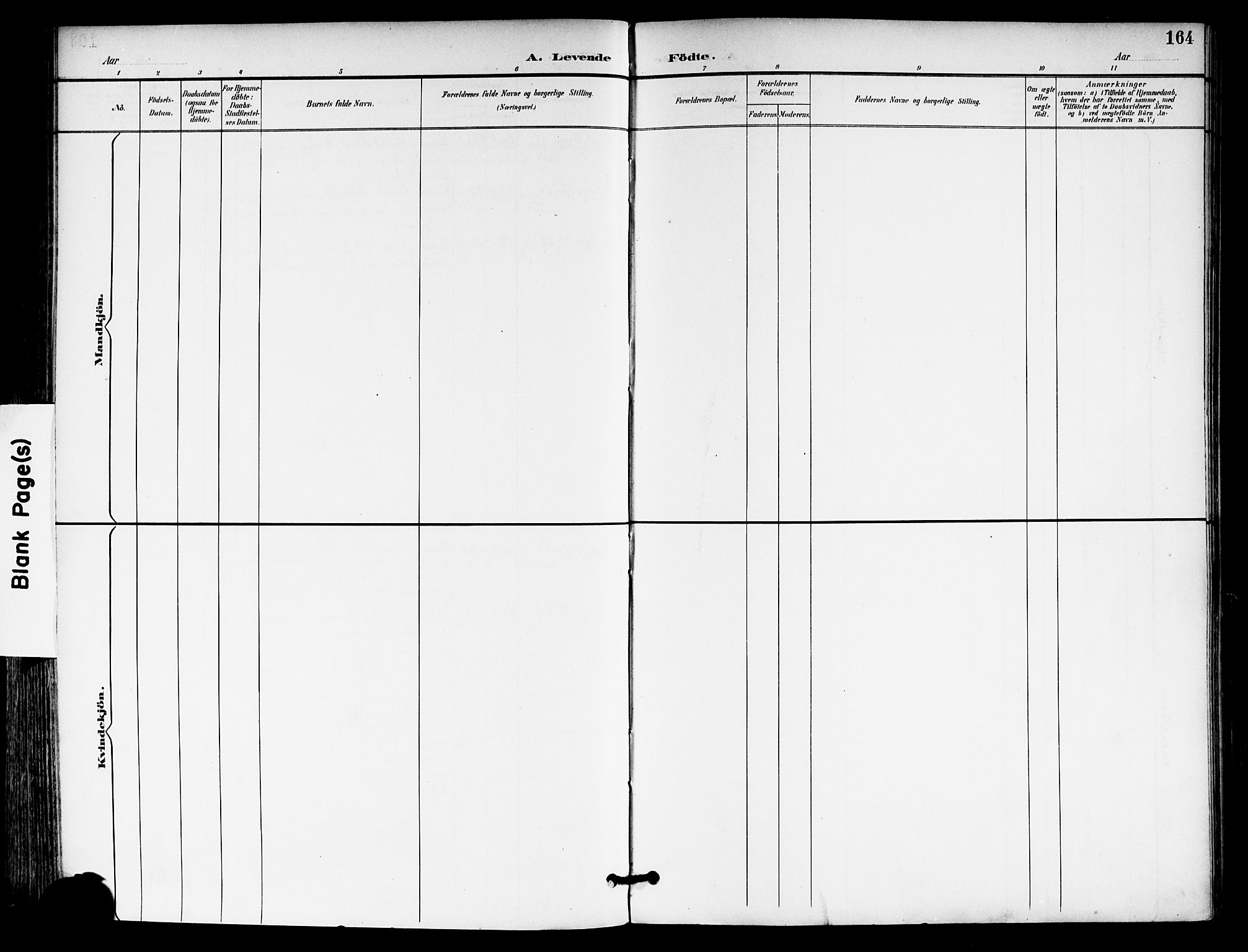 Moss prestekontor Kirkebøker, AV/SAO-A-2003/F/Fb/L0003: Parish register (official) no. II 3, 1894-1901, p. 164