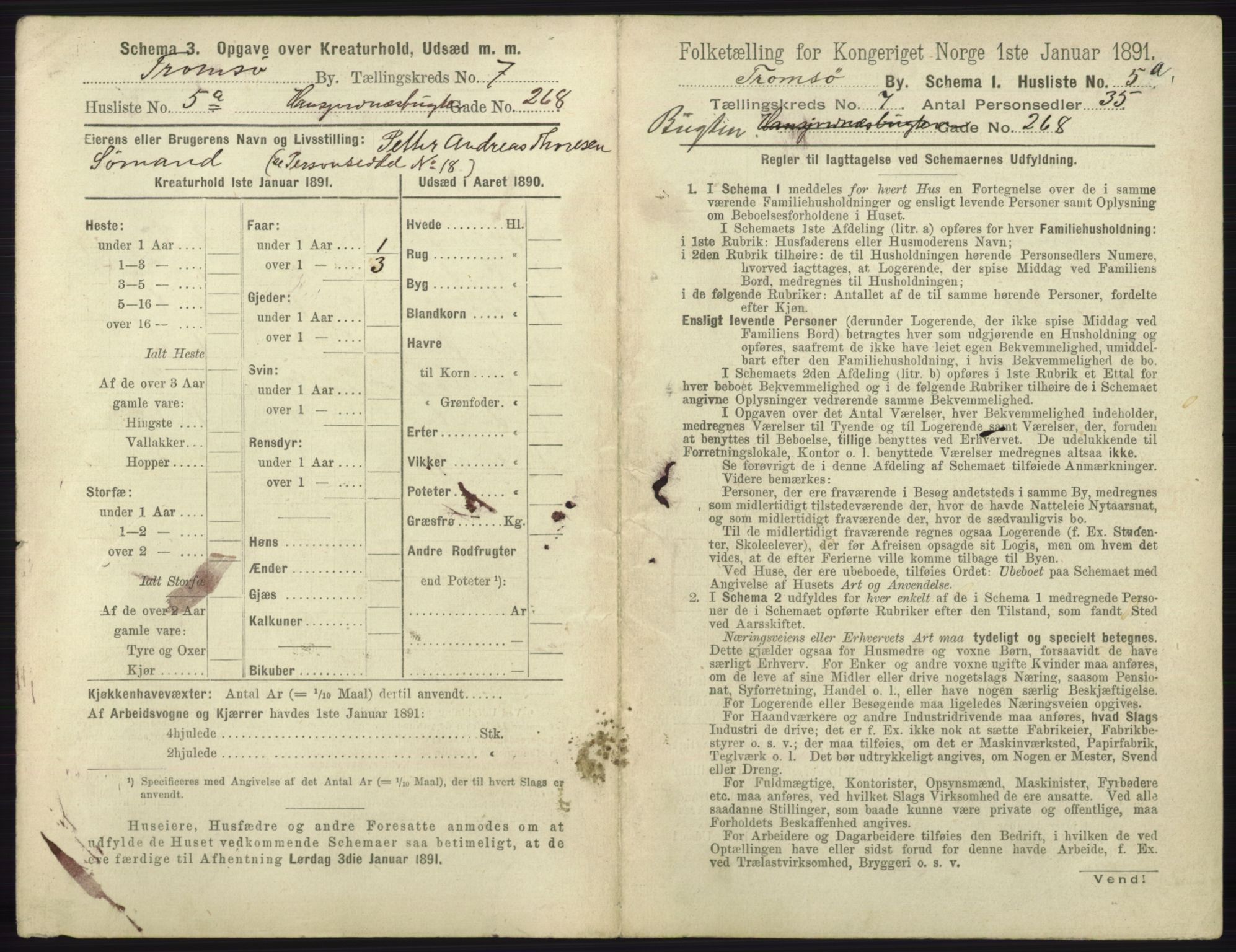 RA, 1891 census for 1902 Tromsø, 1891, p. 6522