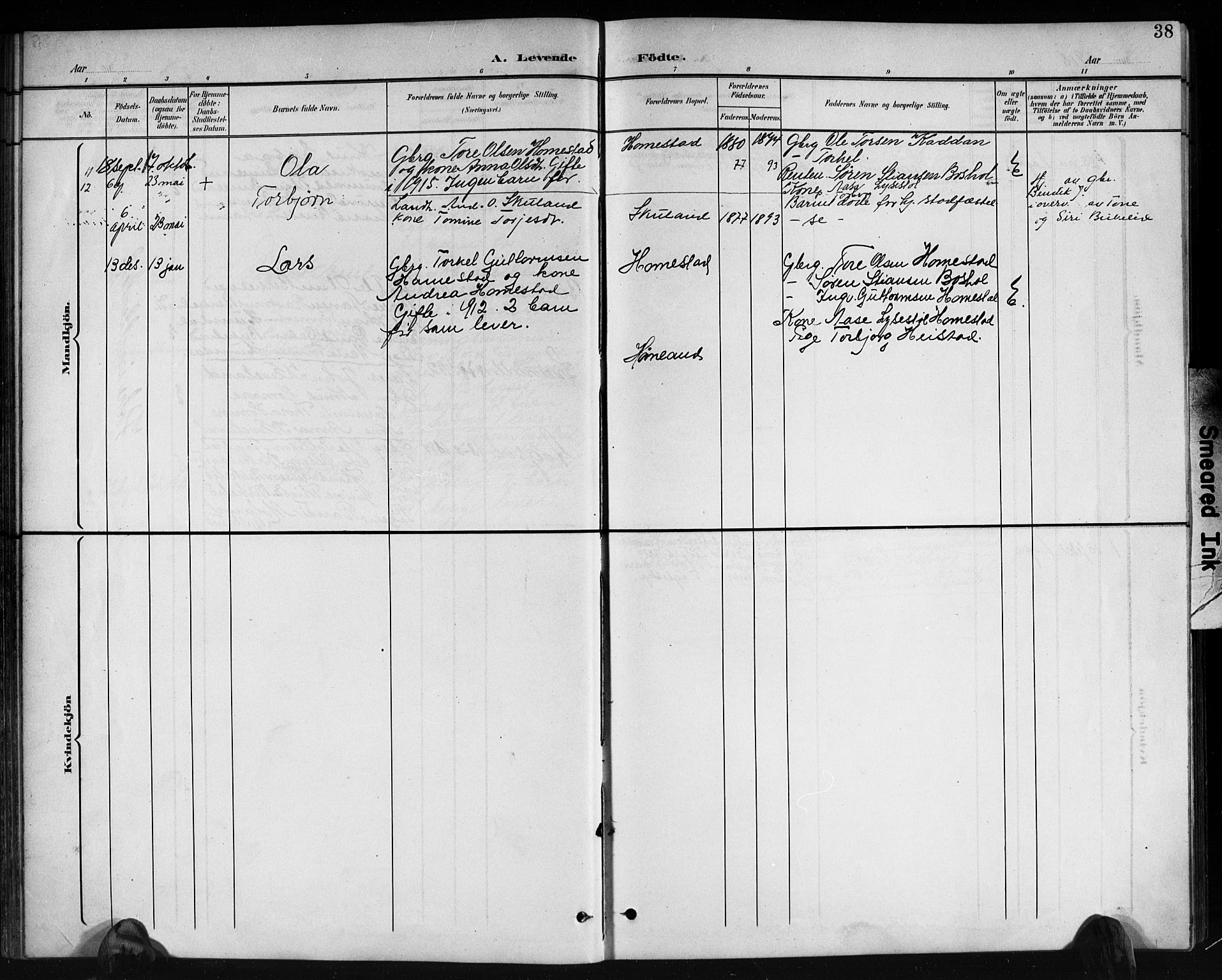 Holum sokneprestkontor, AV/SAK-1111-0022/F/Fb/Fbb/L0004: Parish register (copy) no. B 4, 1899-1920, p. 38