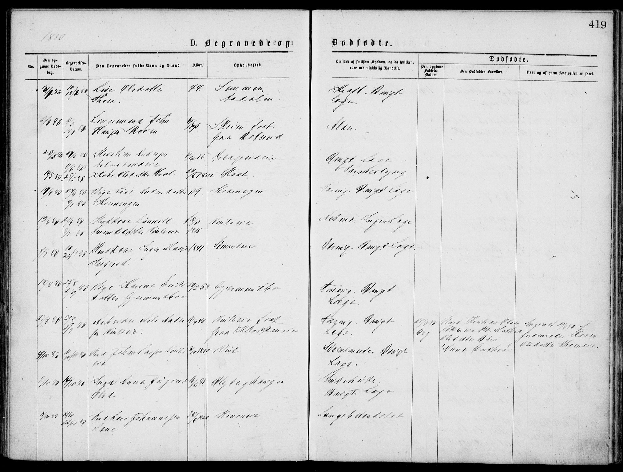 Norderhov kirkebøker, AV/SAKO-A-237/G/Gb/L0001: Parish register (copy) no. II 1, 1876-1899, p. 419