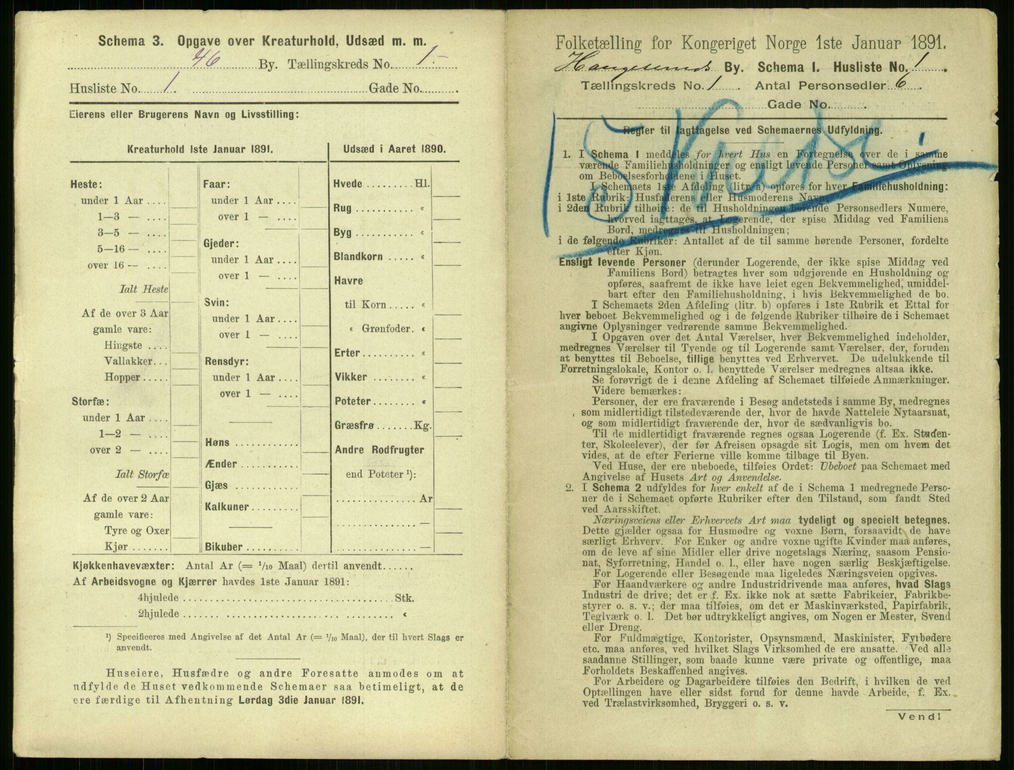 RA, 1891 census for 1106 Haugesund, 1891, p. 37