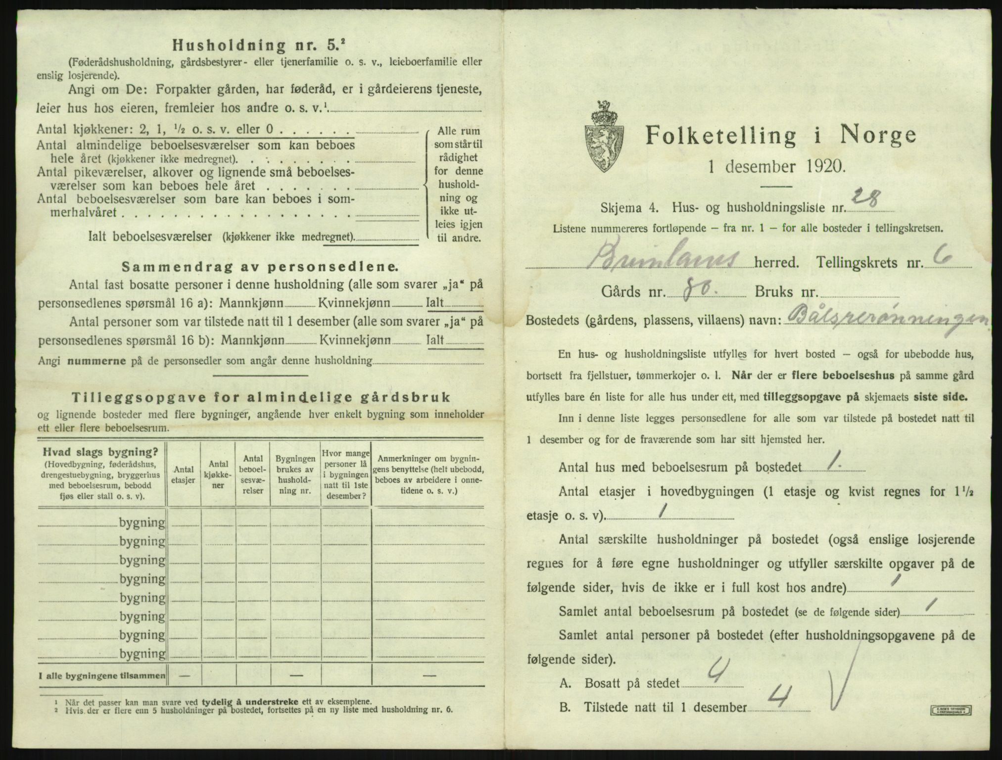 SAKO, 1920 census for Brunlanes, 1920, p. 919