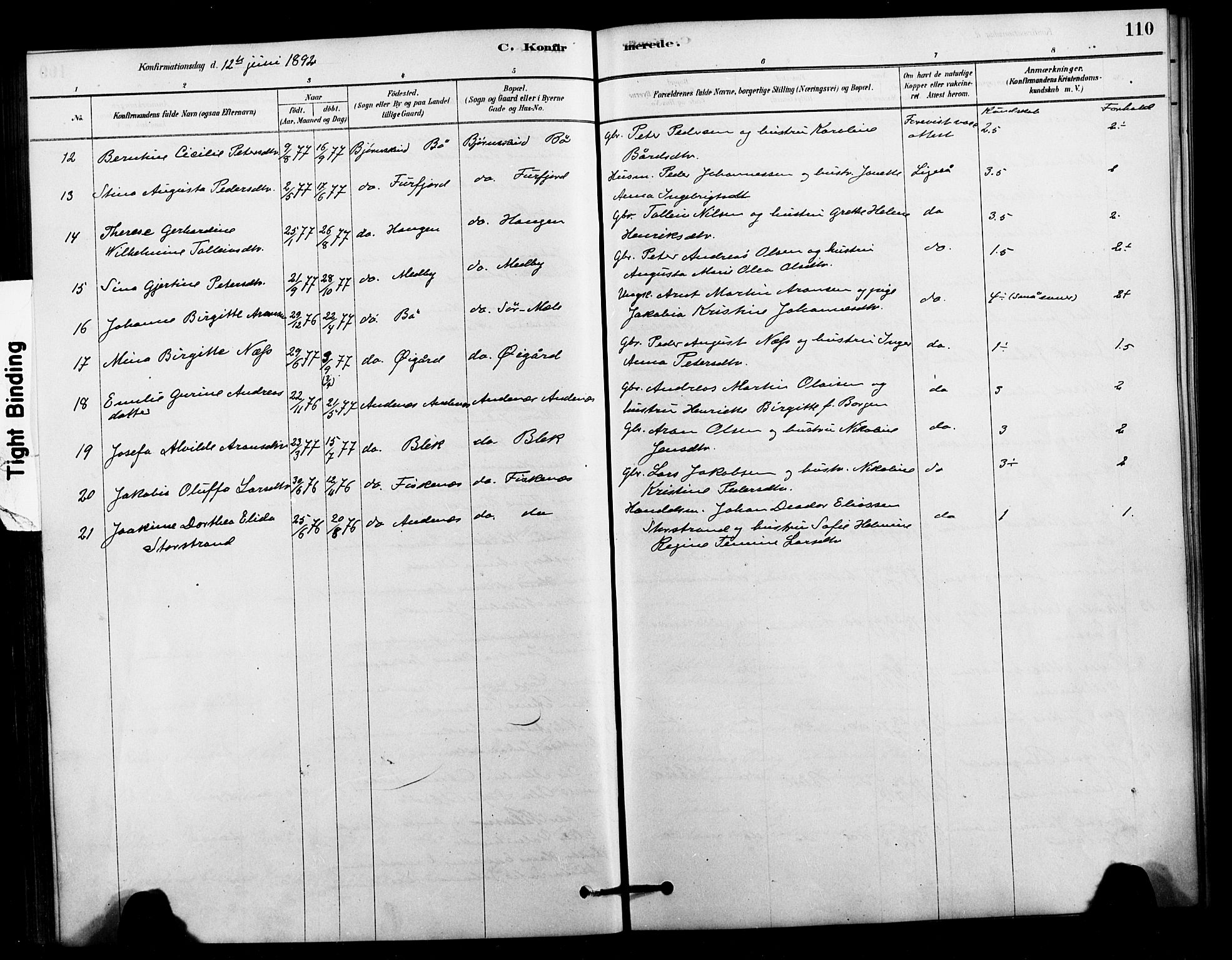 Ministerialprotokoller, klokkerbøker og fødselsregistre - Nordland, AV/SAT-A-1459/897/L1399: Parish register (official) no. 897C06, 1881-1896, p. 110