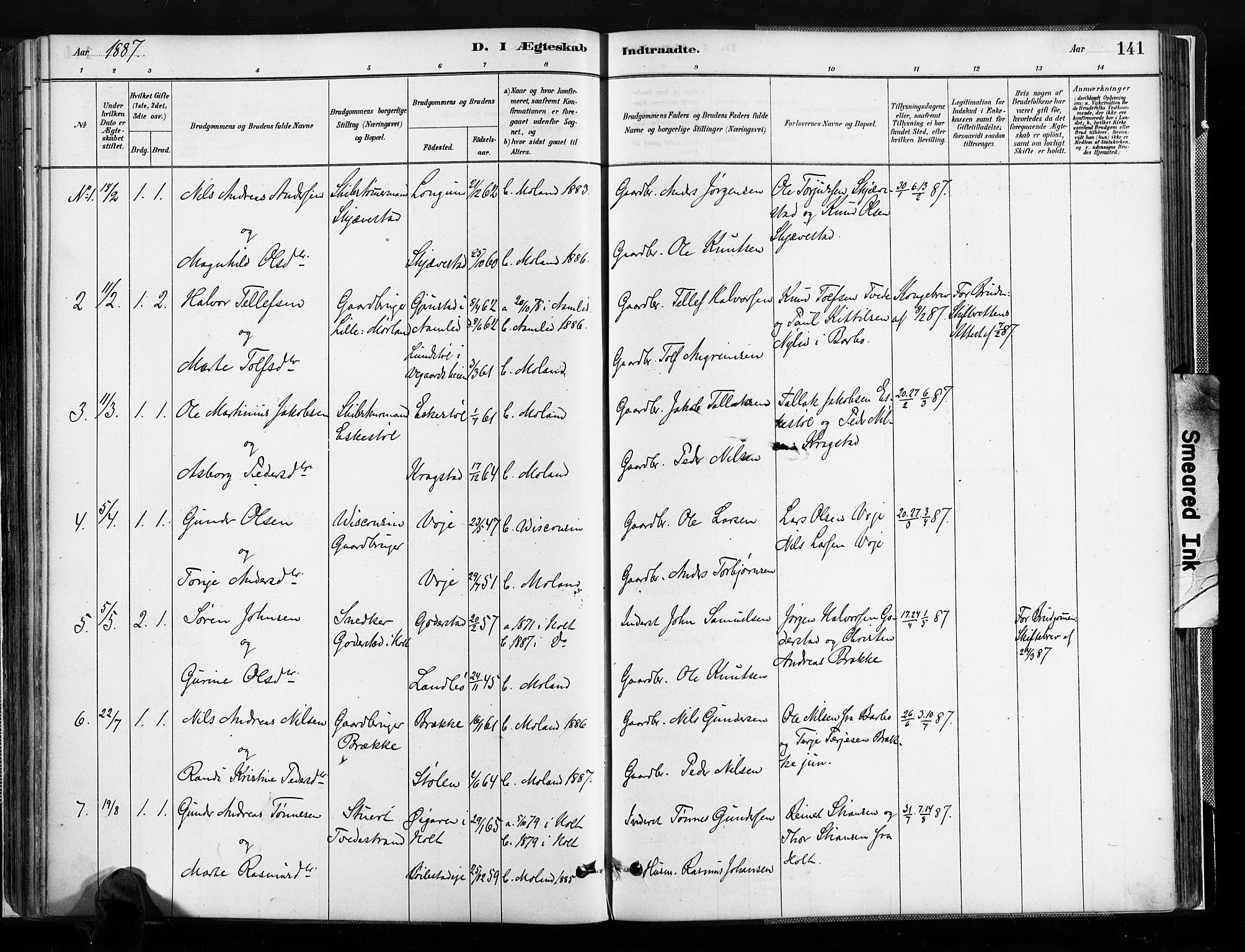 Austre Moland sokneprestkontor, SAK/1111-0001/F/Fa/Faa/L0010: Parish register (official) no. A 10, 1880-1904, p. 141