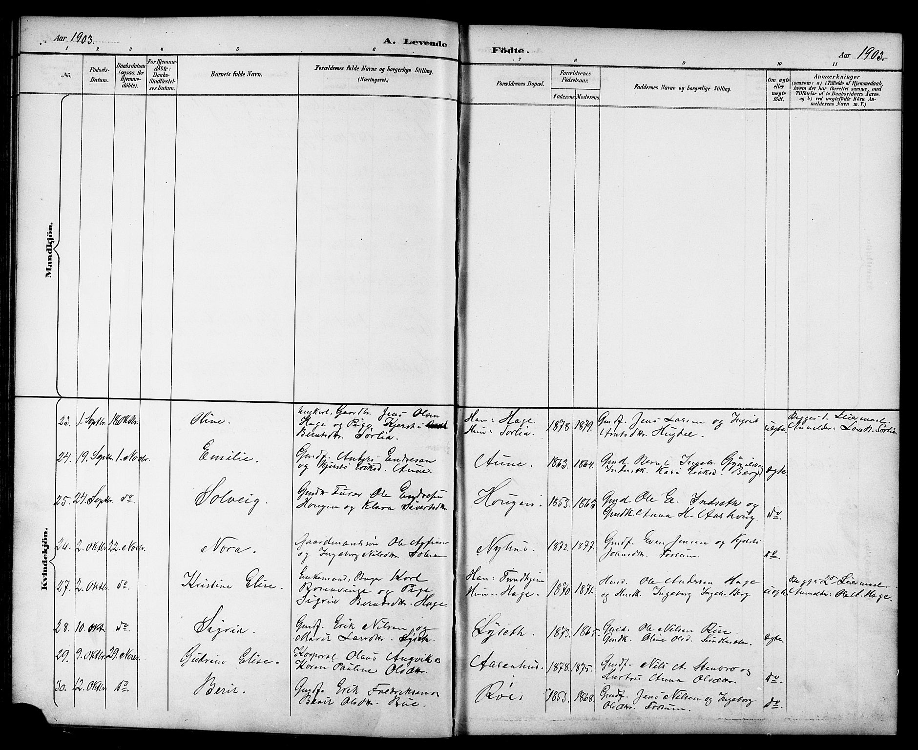 Ministerialprotokoller, klokkerbøker og fødselsregistre - Sør-Trøndelag, AV/SAT-A-1456/689/L1044: Parish register (copy) no. 689C03, 1893-1922