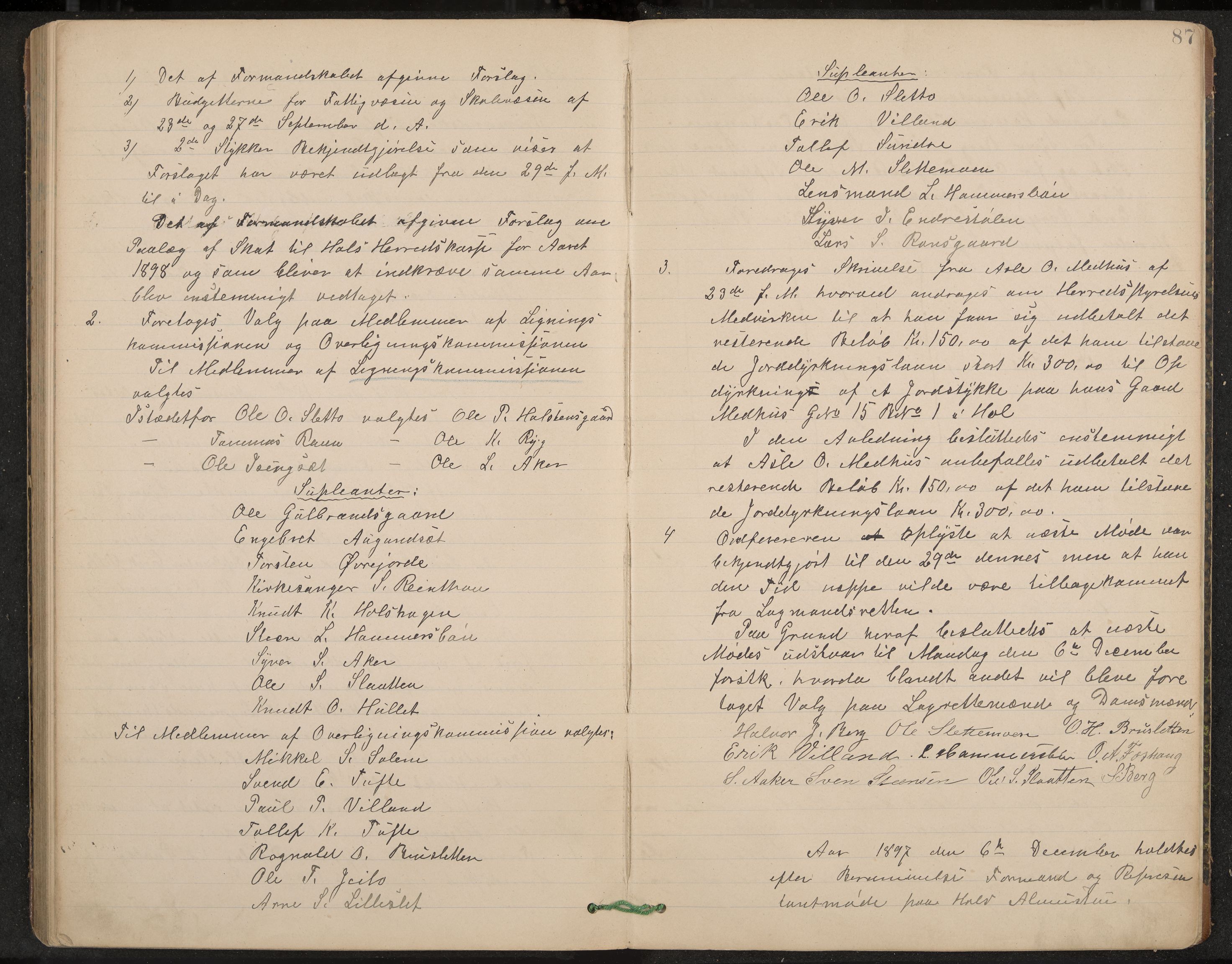 Hol formannskap og sentraladministrasjon, IKAK/0620021-1/A/L0002: Møtebok, 1893-1897, p. 87