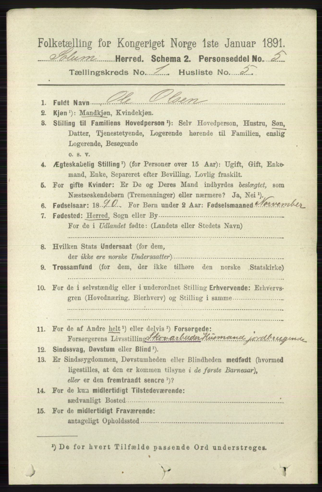 RA, 1891 census for 0818 Solum, 1891, p. 75