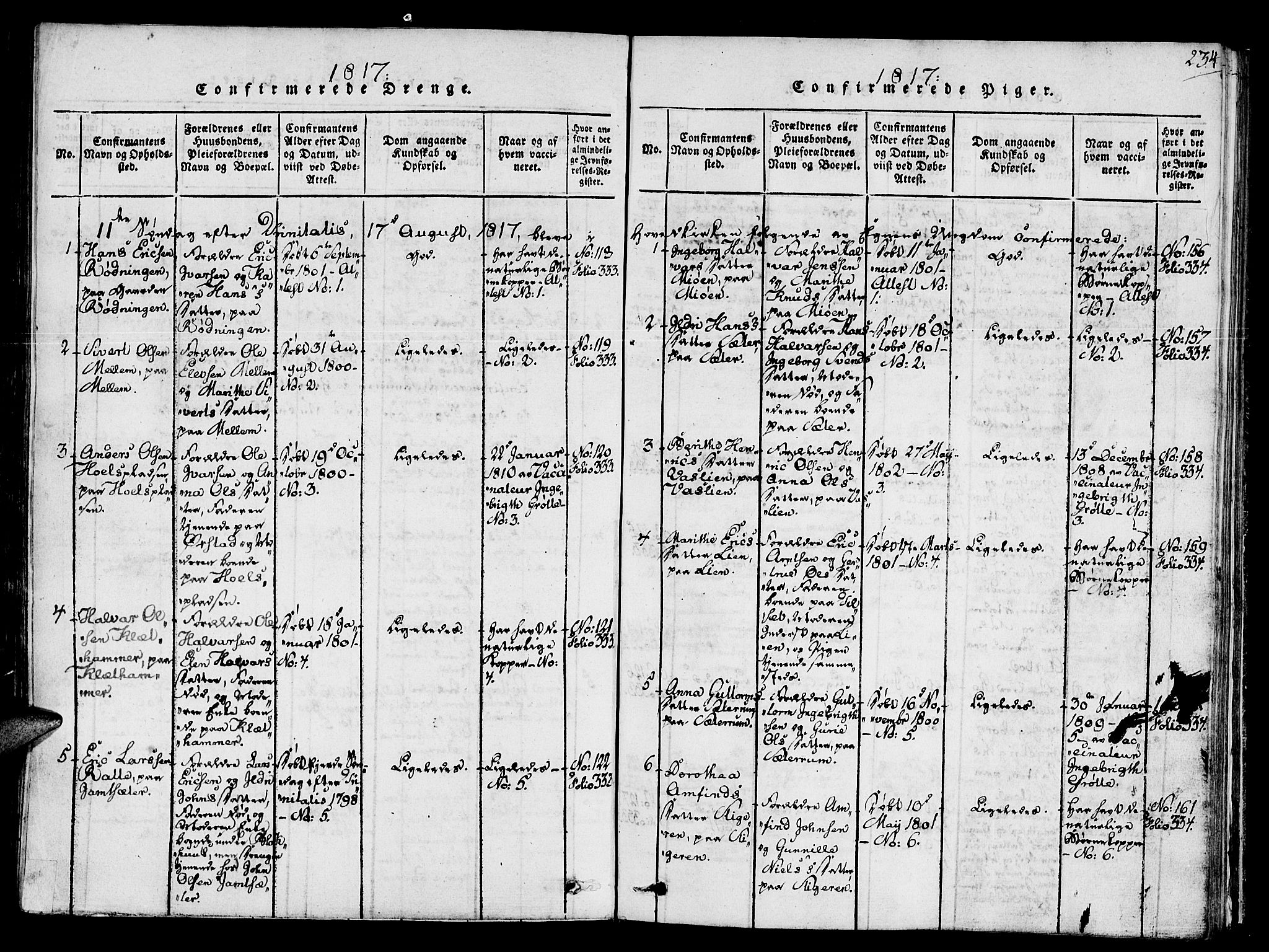 Ministerialprotokoller, klokkerbøker og fødselsregistre - Sør-Trøndelag, SAT/A-1456/678/L0895: Parish register (official) no. 678A05 /1, 1816-1821, p. 234