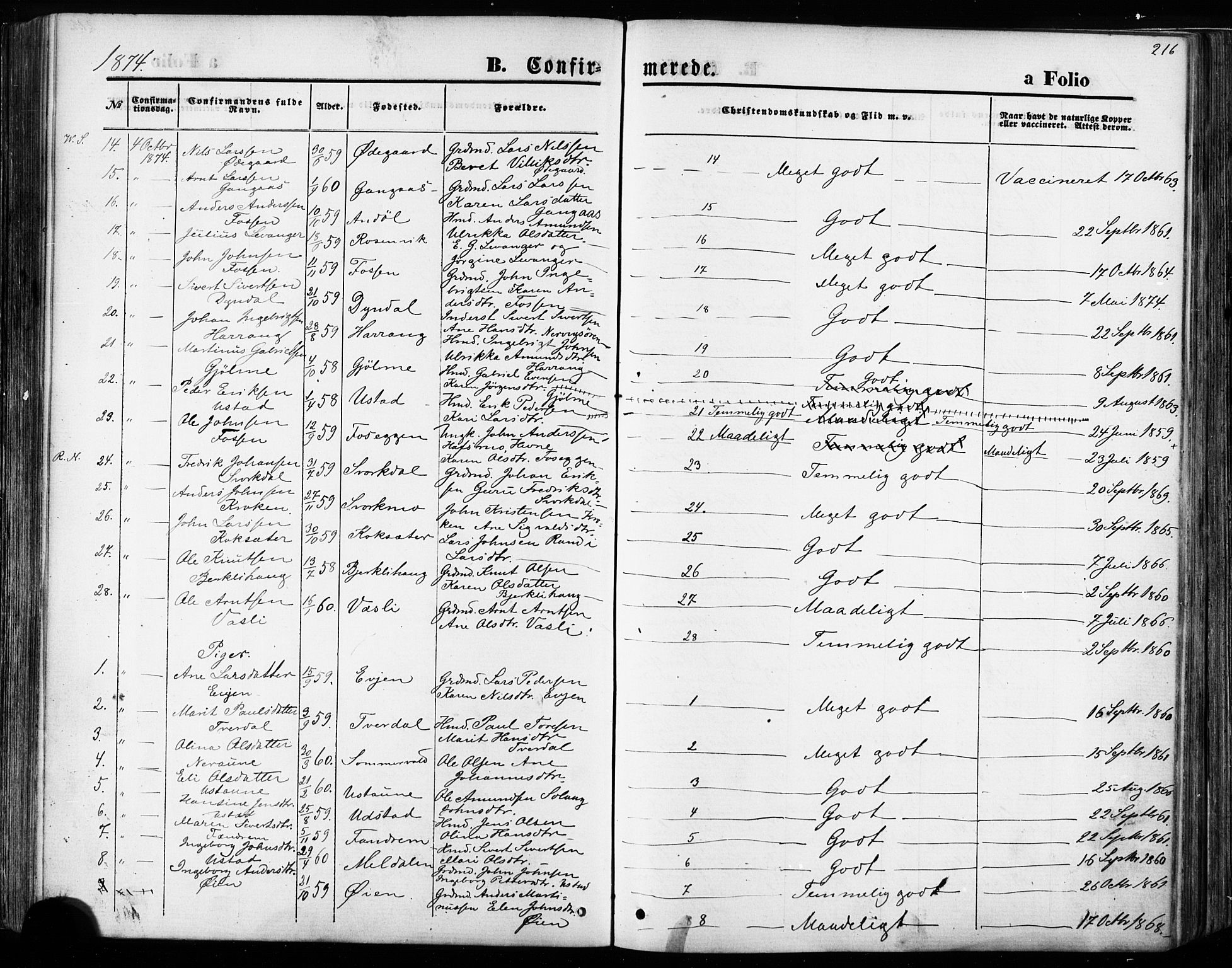 Ministerialprotokoller, klokkerbøker og fødselsregistre - Sør-Trøndelag, SAT/A-1456/668/L0807: Parish register (official) no. 668A07, 1870-1880, p. 216