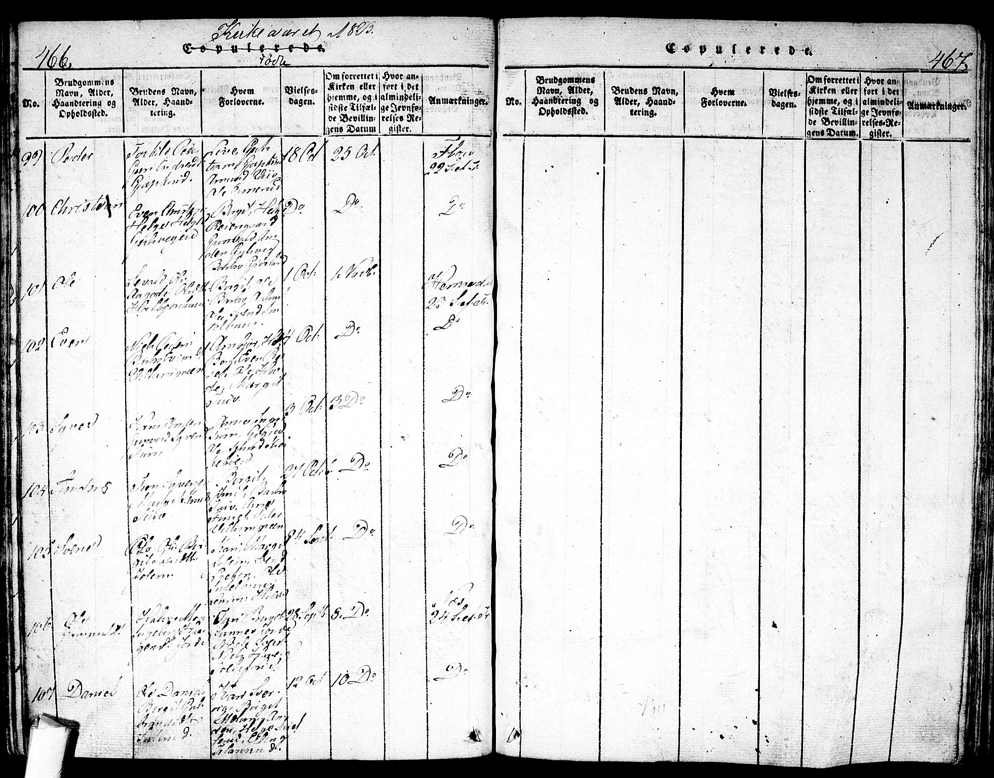 Nes kirkebøker, AV/SAKO-A-236/F/Fa/L0007: Parish register (official) no. 7, 1815-1823, p. 466-467