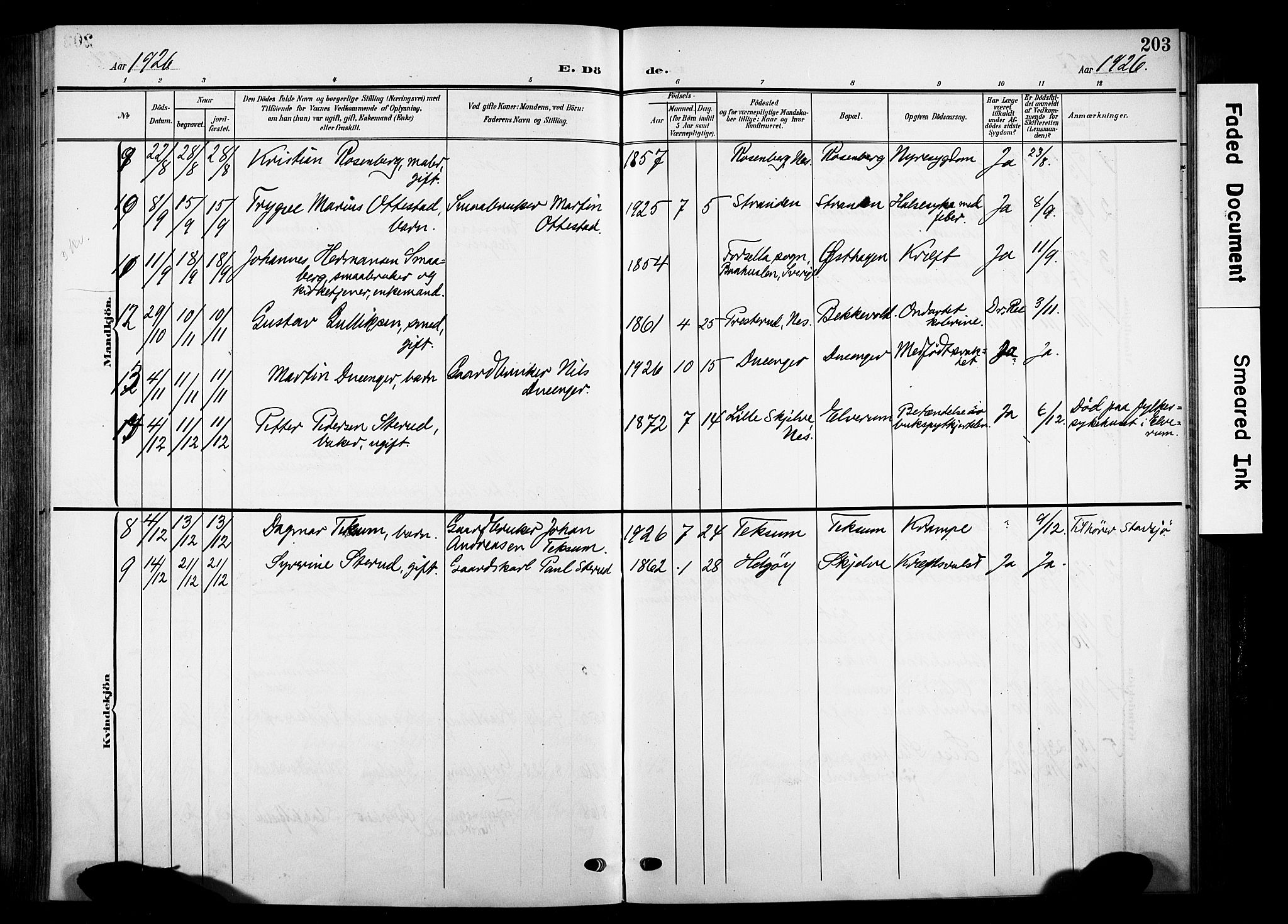 Nes prestekontor, Hedmark, SAH/PREST-020/K/Ka/L0014: Parish register (official) no. 14, 1906-1929, p. 203