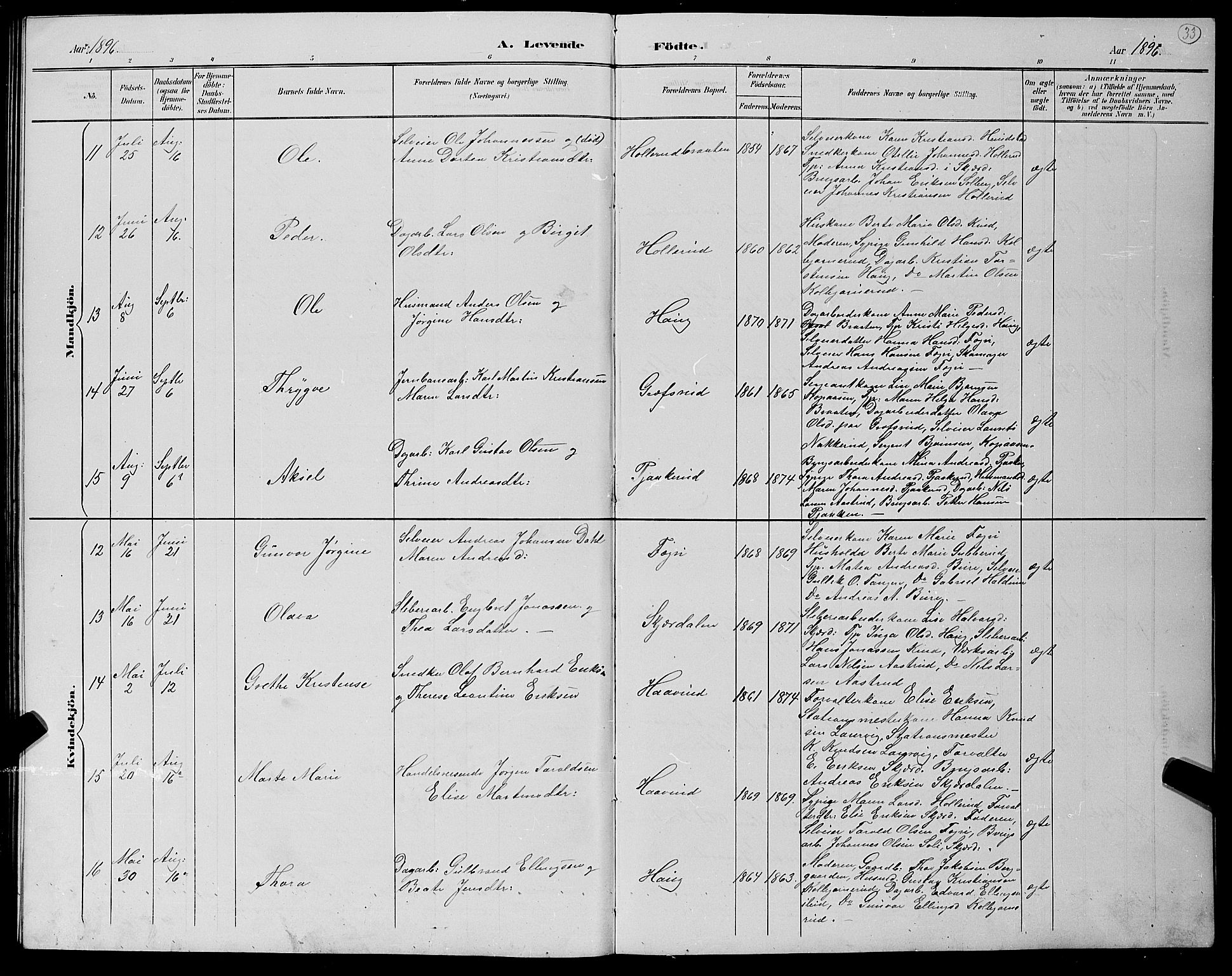 Hole kirkebøker, AV/SAKO-A-228/G/Gb/L0003: Parish register (copy) no. II 3, 1890-1901, p. 33