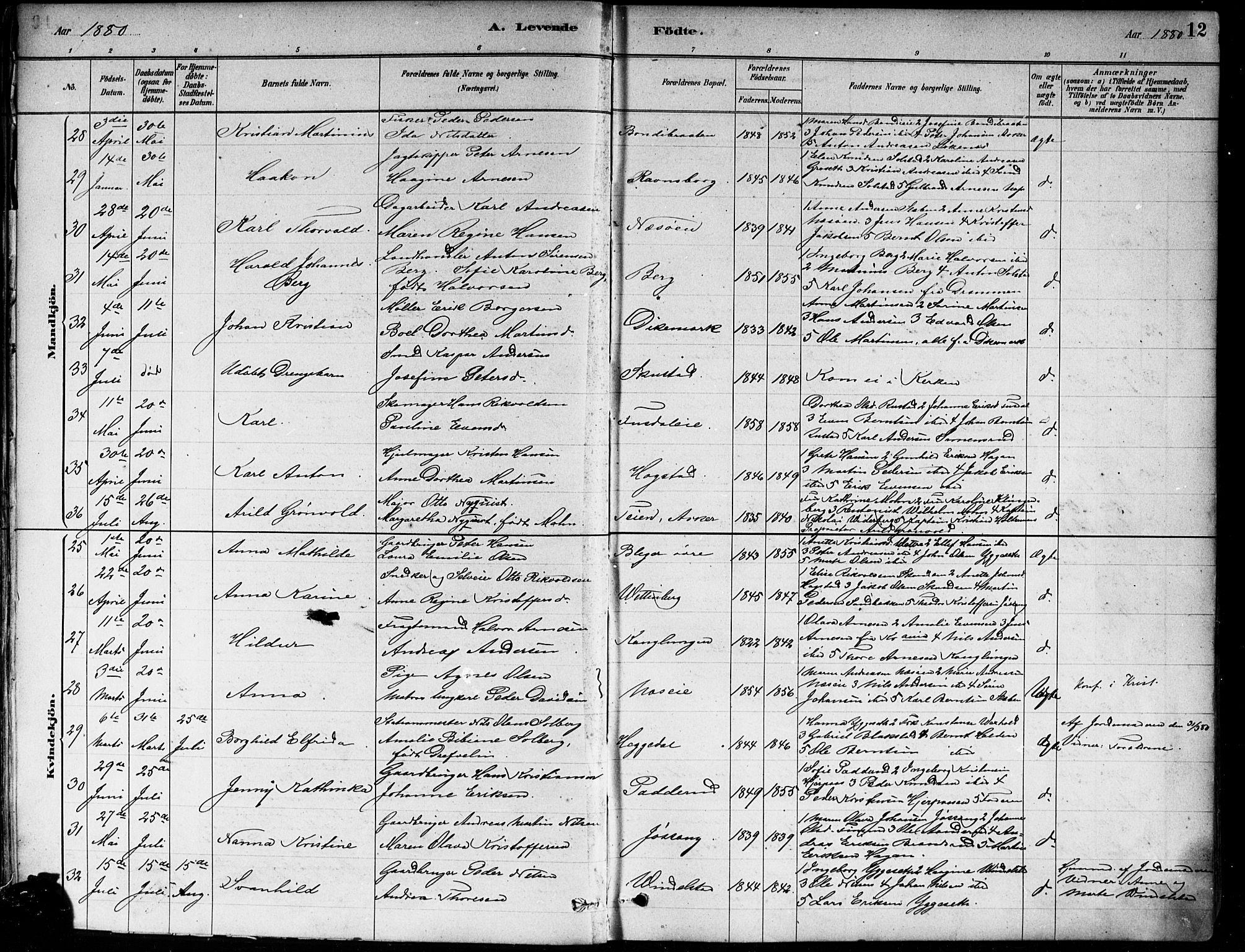 Asker prestekontor Kirkebøker, SAO/A-10256a/F/Fa/L0013: Parish register (official) no. I 13, 1879-1896, p. 12