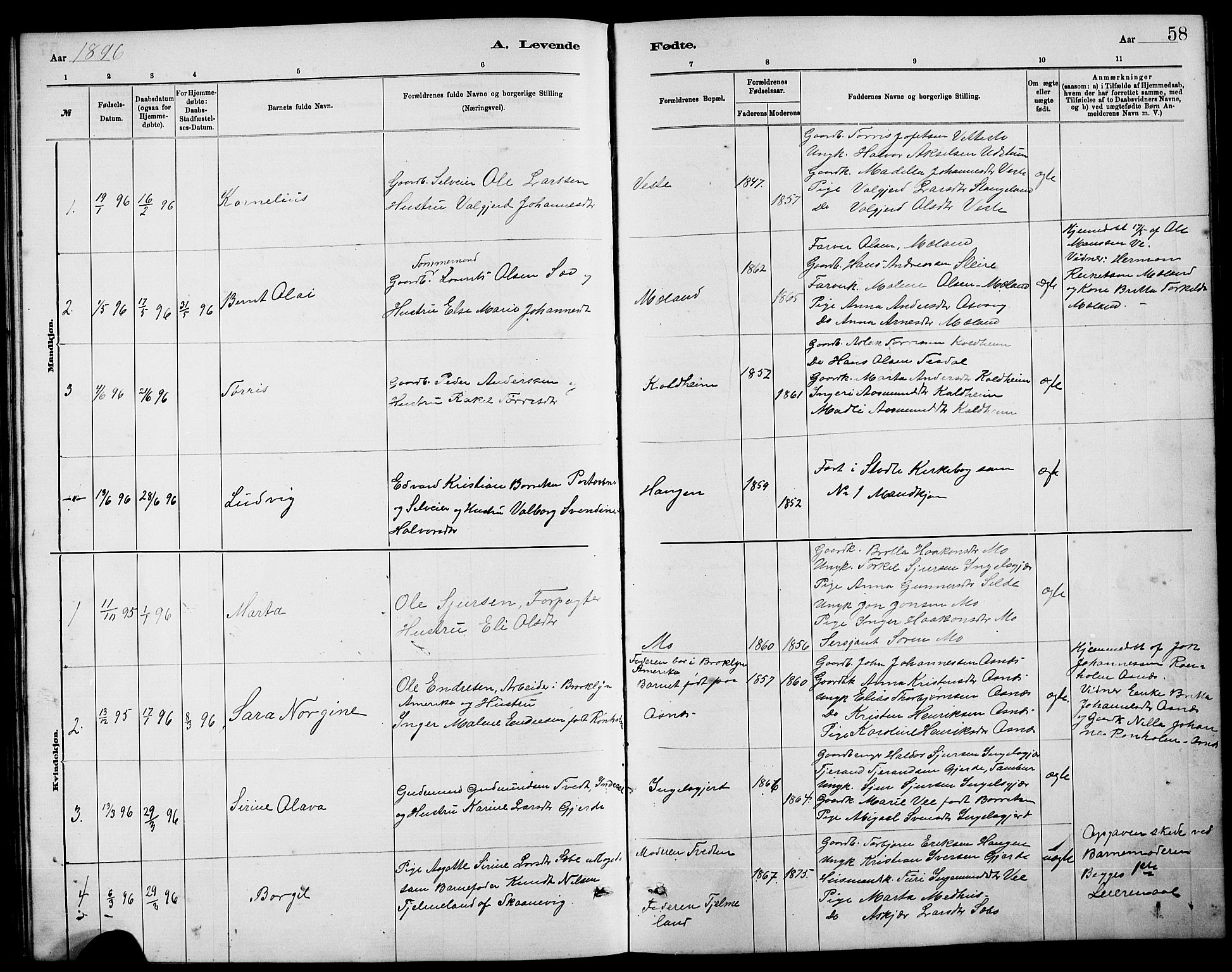 Etne sokneprestembete, SAB/A-75001/H/Hab: Parish register (copy) no. B 4, 1879-1897, p. 58