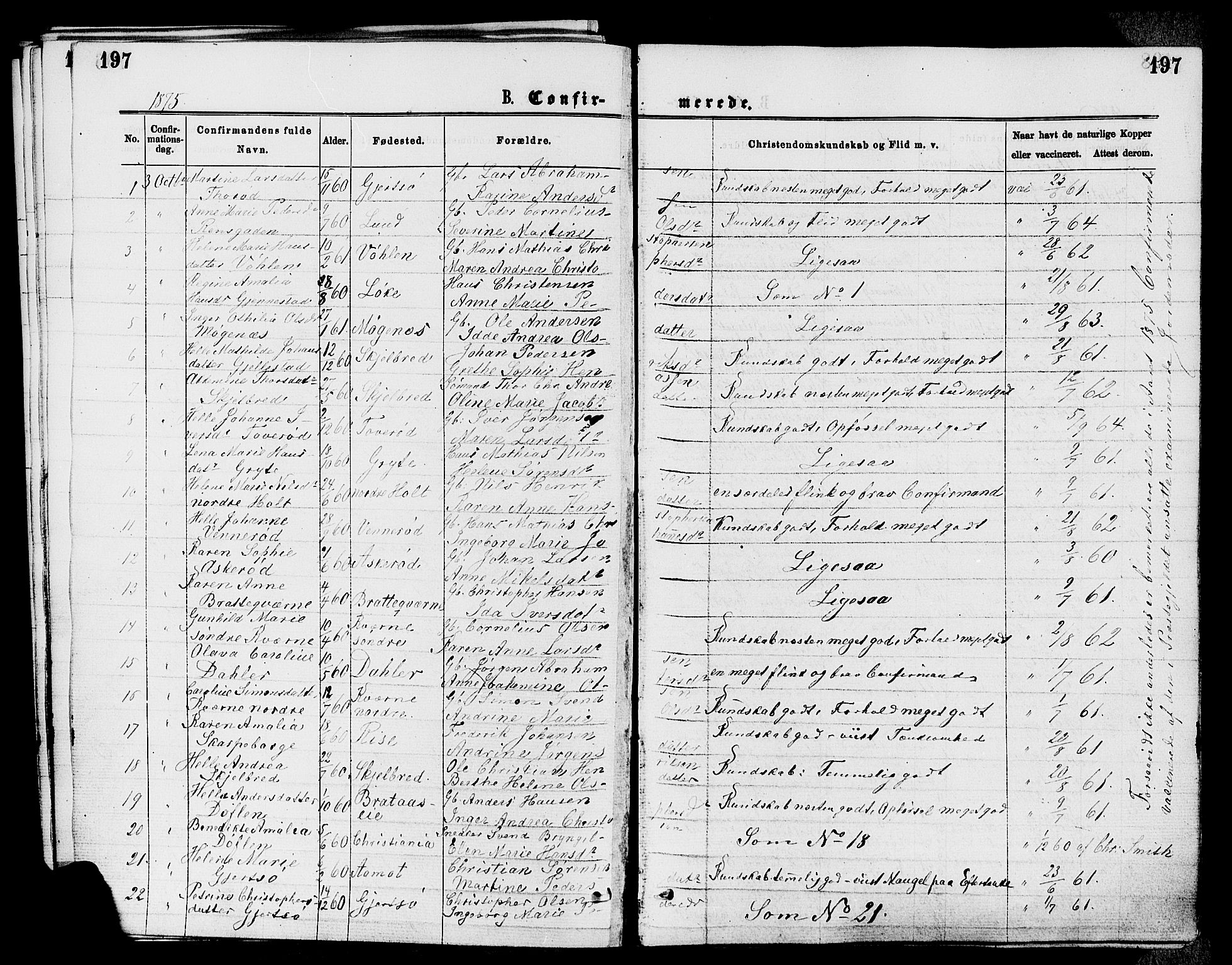 Stokke kirkebøker, AV/SAKO-A-320/F/Fa/L0009: Parish register (official) no. I 9, 1872-1883, p. 197