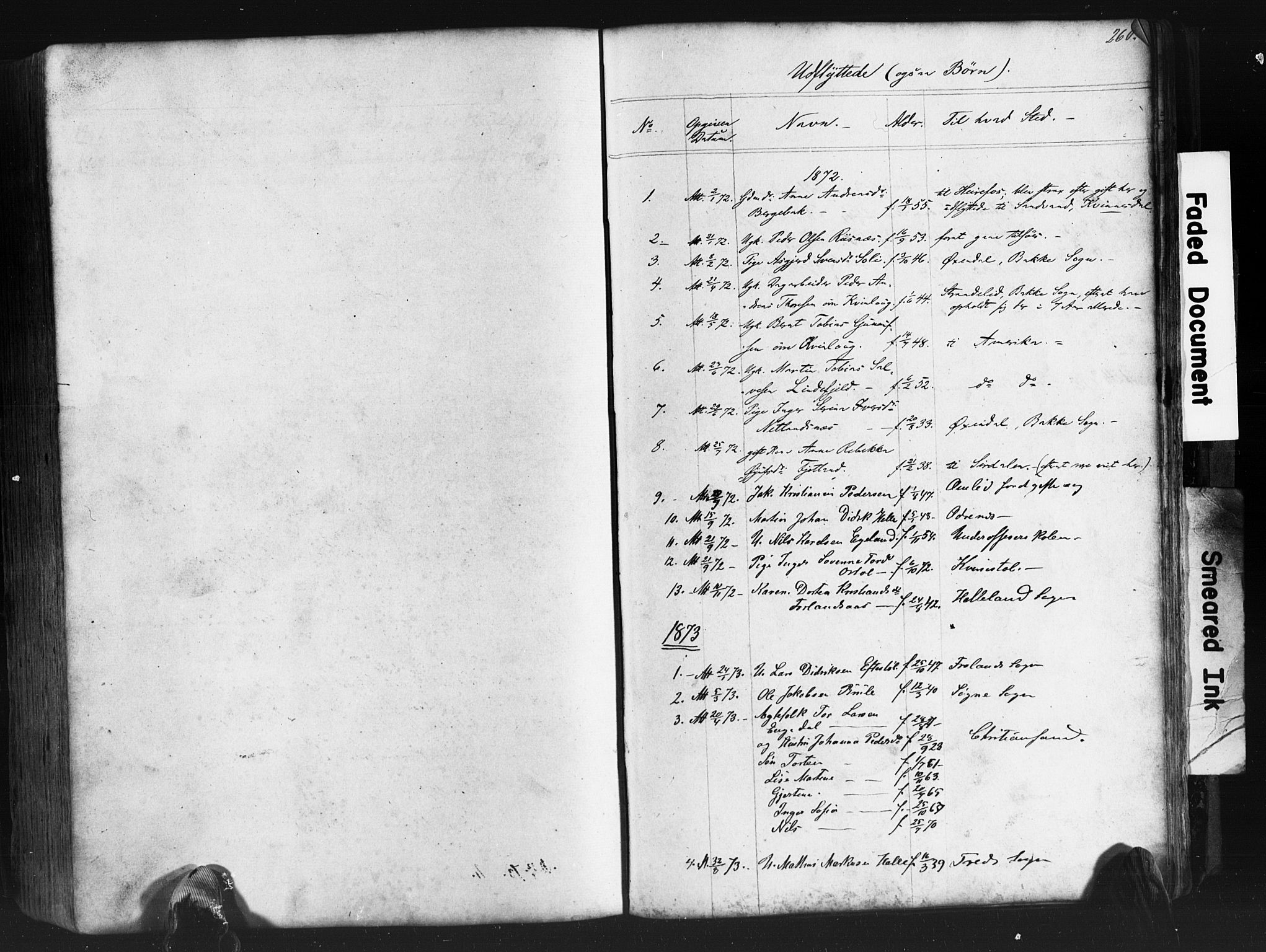 Fjotland sokneprestkontor, AV/SAK-1111-0010/F/Fb/L0003: Parish register (copy) no. B 3, 1872-1924, p. 260