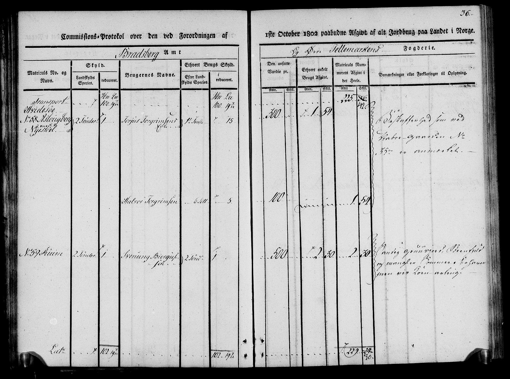 Rentekammeret inntil 1814, Realistisk ordnet avdeling, AV/RA-EA-4070/N/Ne/Nea/L0075: Øvre Telemarken fogderi. Kommisjonsprotokoll for fogderiets vestre del - Kviteseid, Vinje, Moland [):Fyresdal] og Lårdal prestegjeld., 1803, p. 36